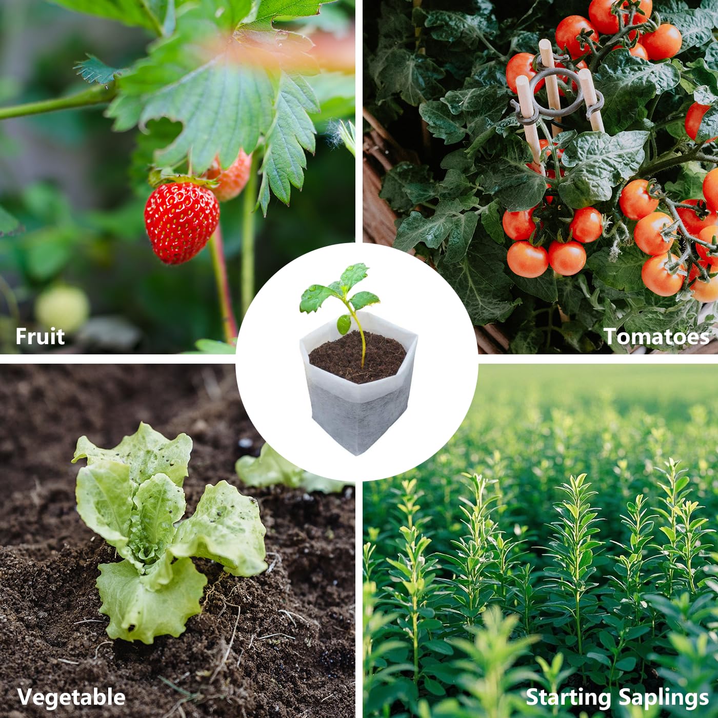 Belit 50 Pcs Non-Woven Plant Nursery Bags, Seedling Pots Container for Vegetable, Flower, Starting saplings, Plant Grow (11.6"x11.2")