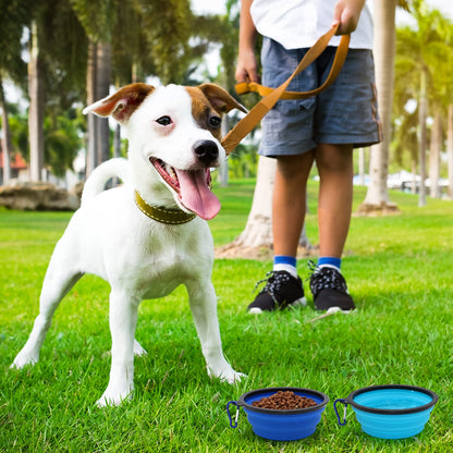 2-Pack Small Dog Travel Bowl, Collapsible Bowls for Dogs, Foldable Cat Water Bowl, Portable Pet Feeding Watering Traveling Dish (Black & Orange)