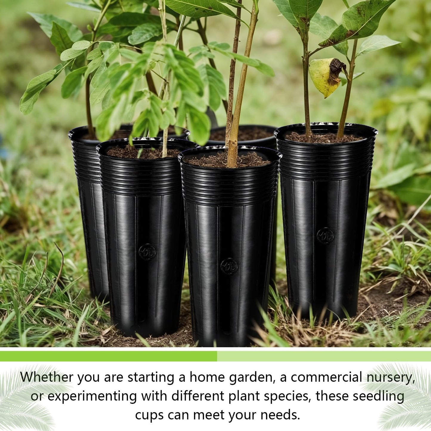 Ferrochef 100 Pack Tall Tree Pot 11.8'' x 4.7'', Black Plastic Deep Nursery Pots, Soft Deep Seedling Pots for Seed Starting, Plant Starter Cups with Drainage Holes for Flowers, Cutting & Transplanting