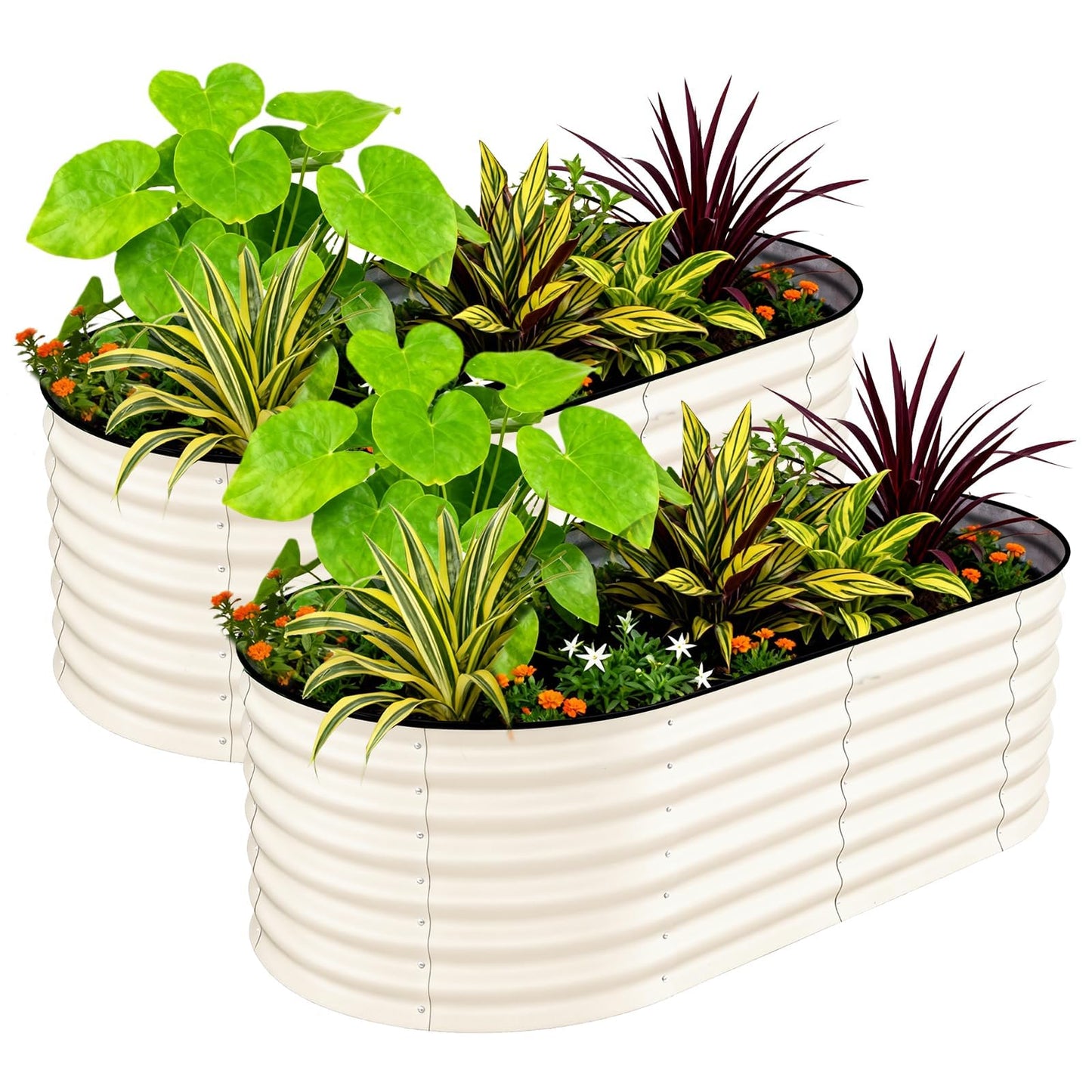 Garvee 2 Pack 6x3x2ft Galvanized Raised Garden Bed Kit, Oval Metal Planter Boxes with Anti-Cut Safety Edges, Rust-Resistant Deep Root Planters for Outdoor Vegetables, Flowers, Herbs, Beige