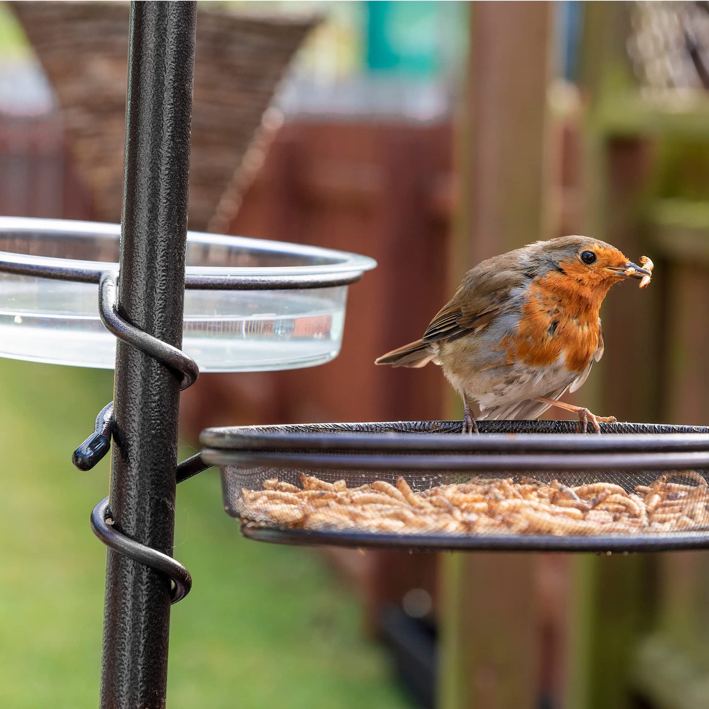 Pelle & Sol Bird Feeder with 3 Bird Feeders & 2 Dishes | Bird Feeders Hanging Station, Bird Feeding Stations for the Garden, Bird Feeders for Small Birds, Bird Feeder Station, Bird Feeding Station