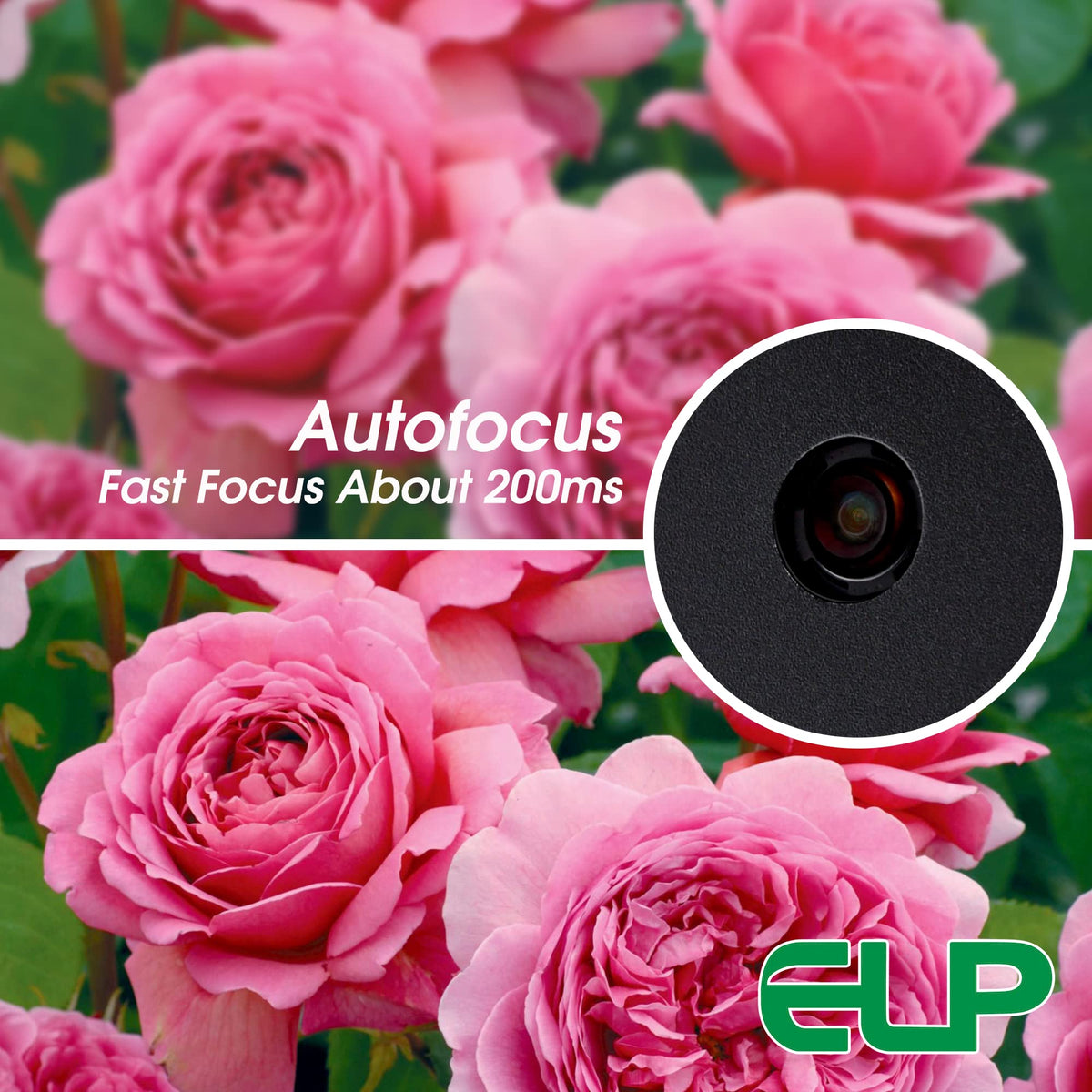 ELP 48MP Autofocus USB Camera with Metal Case for Computer Wide Angle 70degree No Distortion Lens Webcam Mini UVC USB2.0 PC Camera CCTV Video Industrial Lightburn Camera for Raspberry pi Jetson Nano