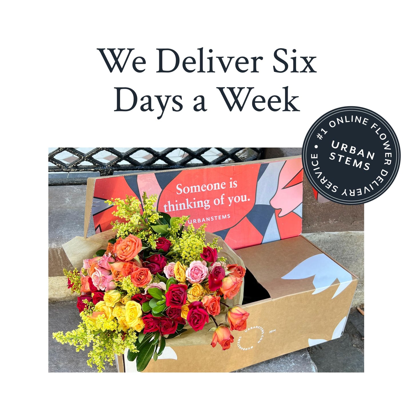 UrbanStems – Double The Firecracker Bouquet (No Vase) – Fresh Flowers for Delivery – Gift for Birthday, Thank You, Congratulations, Anniversary