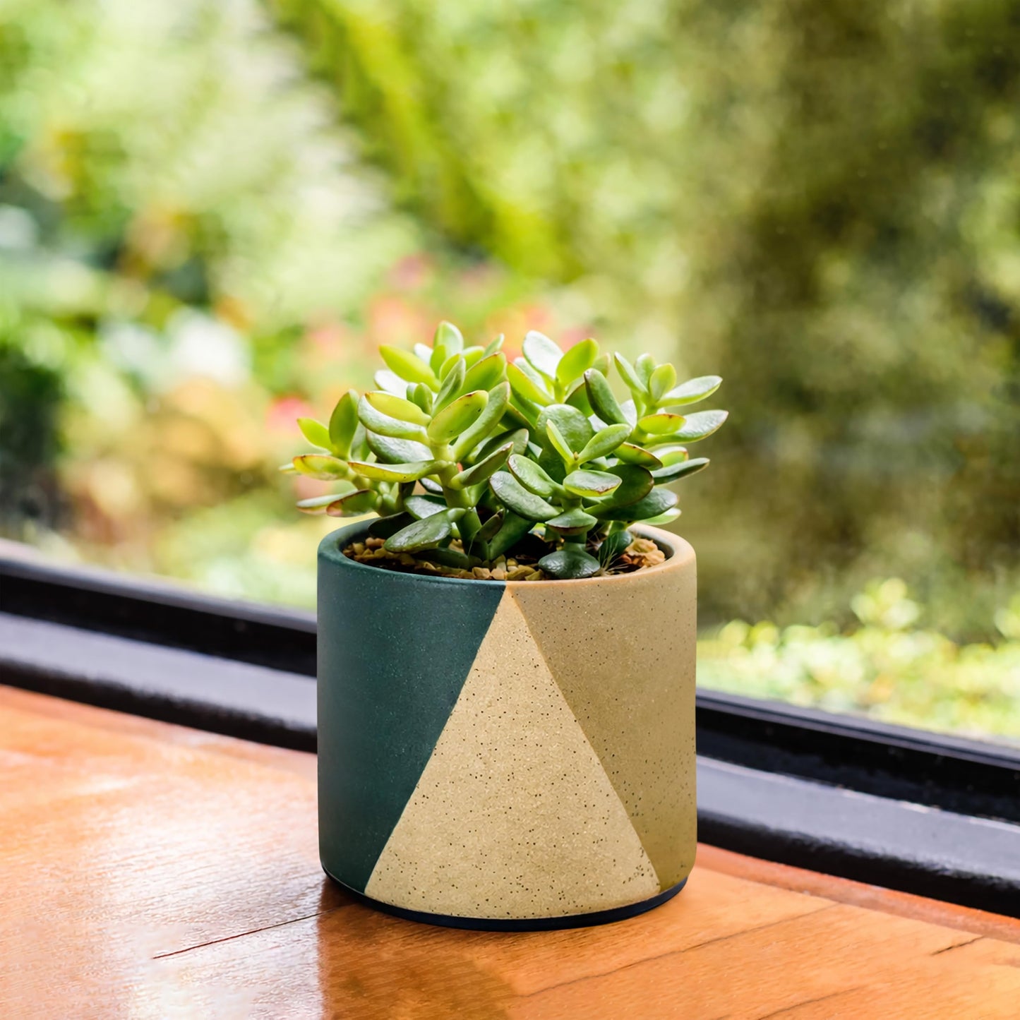 D'vine Dev 4.5" Stoneware Cachepot Planter with 4" Clear Nursery Pot & Detachable Saucer – Indoor Plant Pot with Drainage for Bottom Watering & Root Visibility, Desert Forest, Set of 2, 93-V-B-1