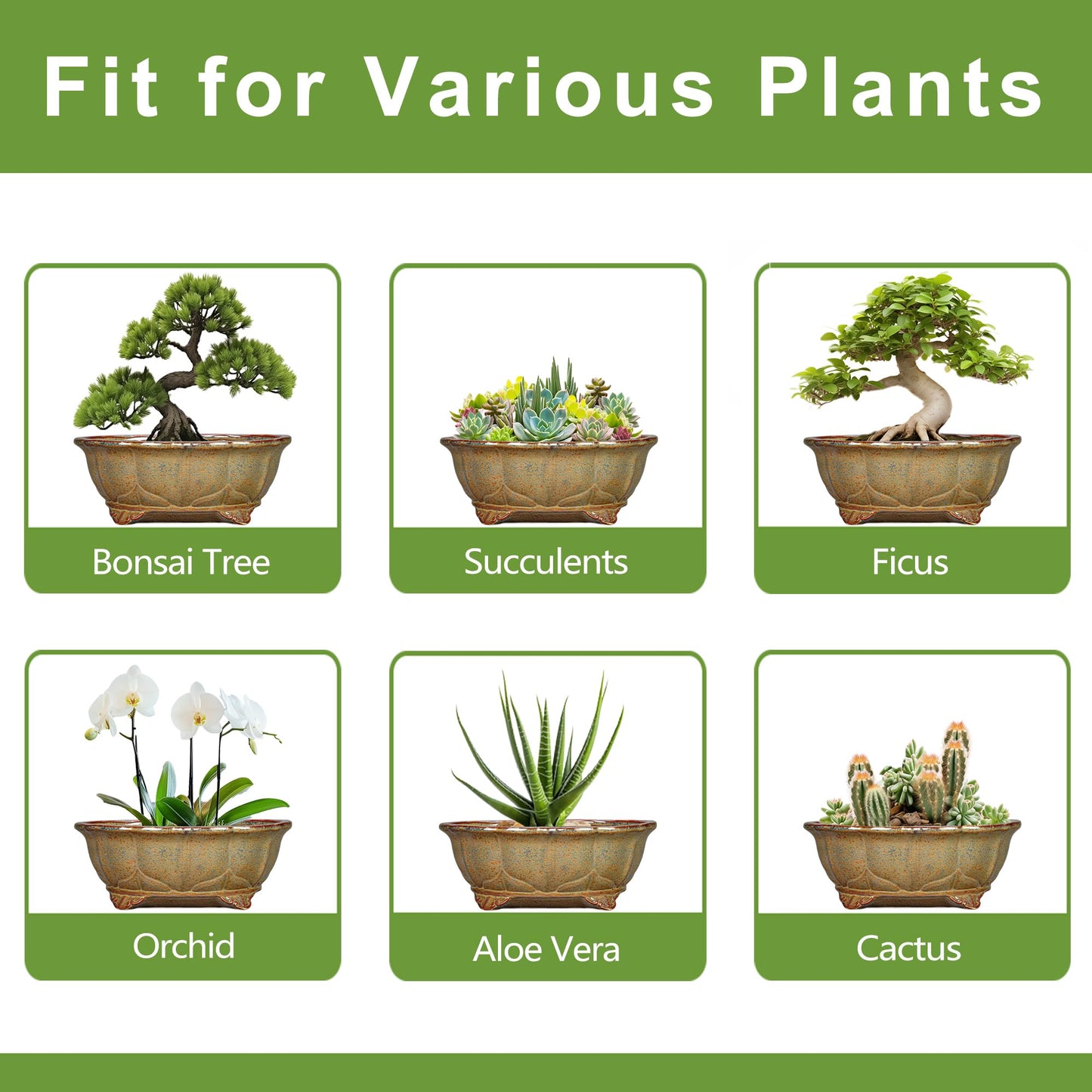 Teagas Ceramic Bonsai Pots - 11 Inch Succulent Planters for Indoor Outdoor Plants, Bonsai Tree Pots with Drainage Hole, Shallow Succulent Plant Pot, Room Decor, Plant Lover Gift, Oval Yellowish Brown