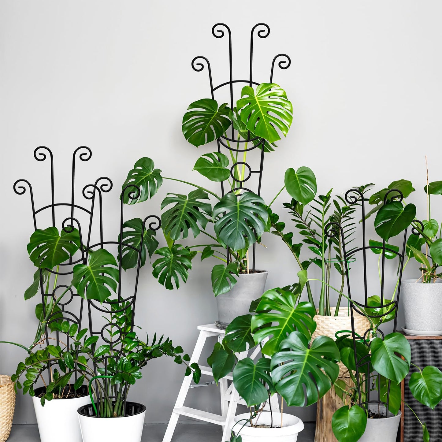 32.6in Monstera Plant Support Stakes for Indoor Plants, Metal Garden Plant Trellis for Climbing Plants, Pothos Vine Snake Climber Support，2p
