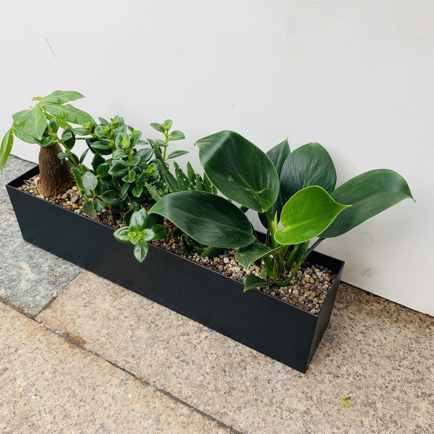 PSOIRGCNH Modern Metal Steel Trough Planter - Rectangle Black Planters for Indoor - 16" Window Sill Planters - Table or Window Boxes Planter - Windowsill Herb(1pc Short Black)