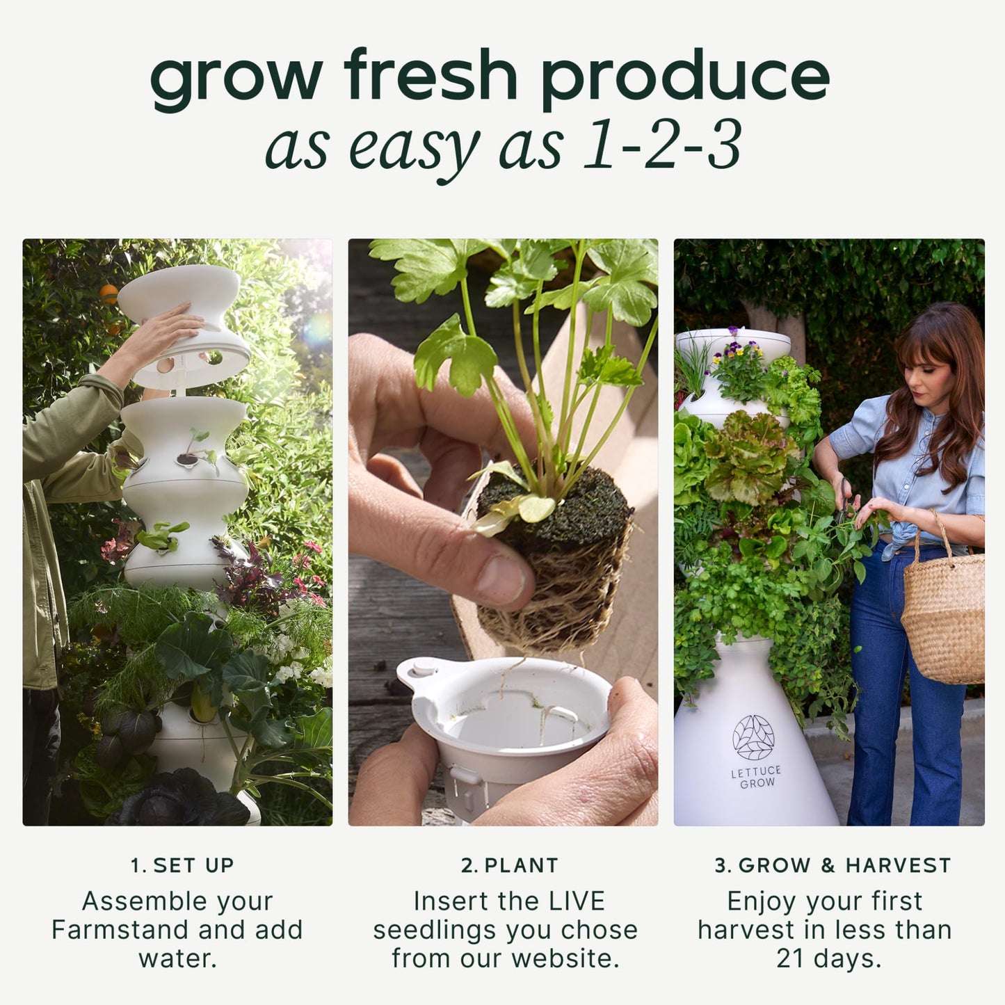 Farmstand Starter Kit + 24 Seedling Credit | Medium Hydroponic Growing System Kit | Self-Watering Outdoor Vertical Garden Planter Tower | 4ft 10in | Made in USA