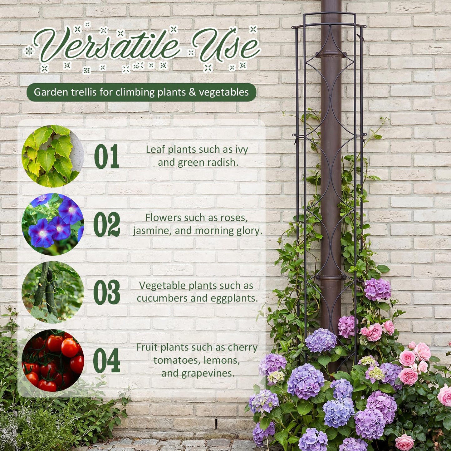 Novabright 2 Pack 71''h X9.8''w Garden Trellis for Climbing Plants Metal Plant Trelli Indoor Outdoor Metal Garden Trellis for Potted Plants Climbing Houseplants Flowers Decorative Outdoor Downpipes