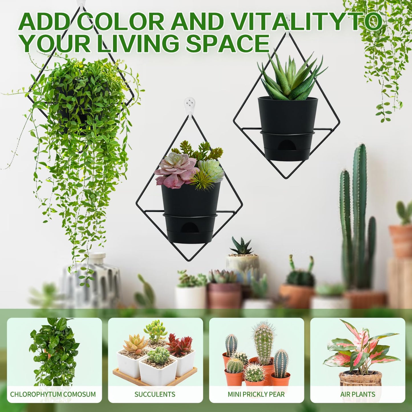 Koalaime 3 Sets Wall Planters for Indoor Plants Geometric Hanging Planters for Indoor Plants - Self-Watering Flower Pots with Black Metal Holder, Mounted Succulent Planter, 5" Black Plant Pot