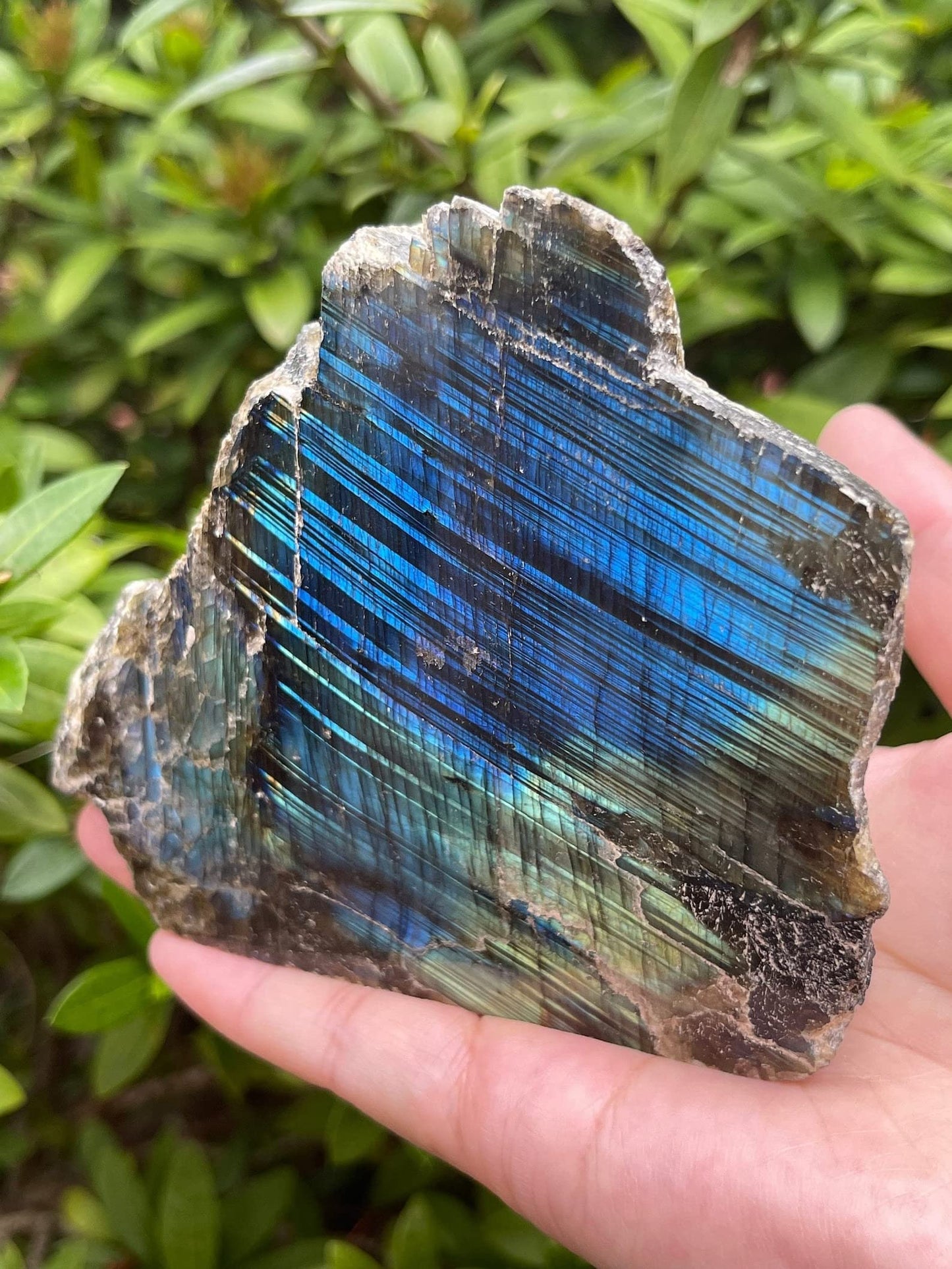 Natural Labradorite Slab, High Flash Free Standing Display Specimens, Raw Labradorite Slab Cut Base (0.5-1 lb)