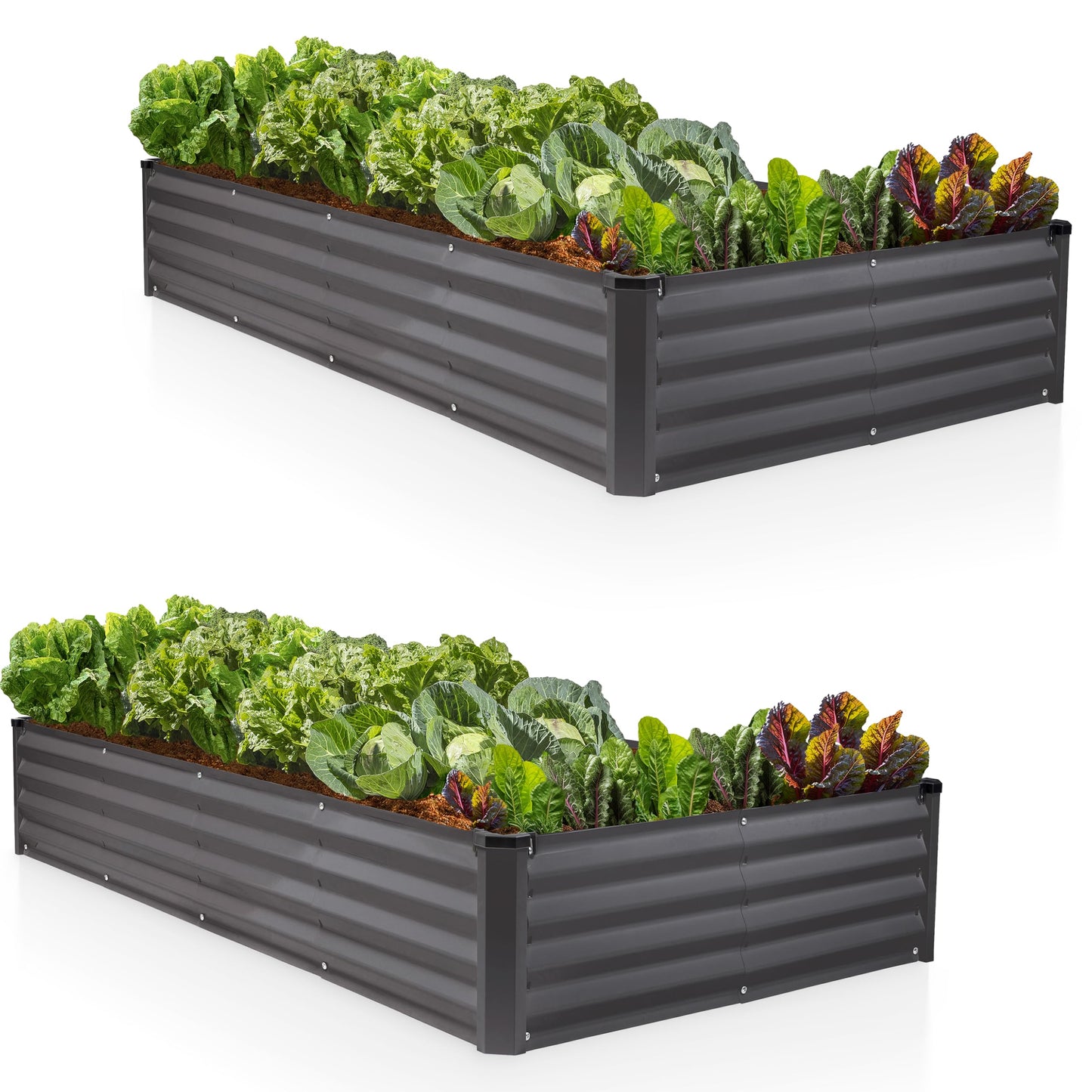 Plant & Plot Galvanized Raised Garden Beds Outdoor // 8×4×1 ft (2-Pack) Planter Raised Beds for Gardening, Vegetables, Flowers // Large Metal Garden Box // Patented Tool-Free Design (Dark Gray)
