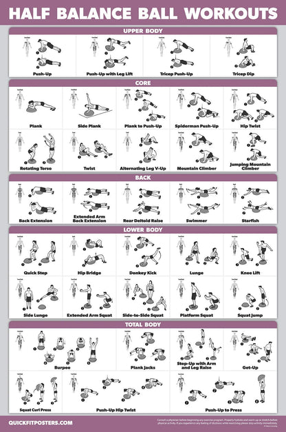 Palace Learning 2 Pack, Half Balance Ball Workout Poster + Yoga Ball Exercise Chart - Set of 2 Workout Posters (LAMINATED, 18" x 24")