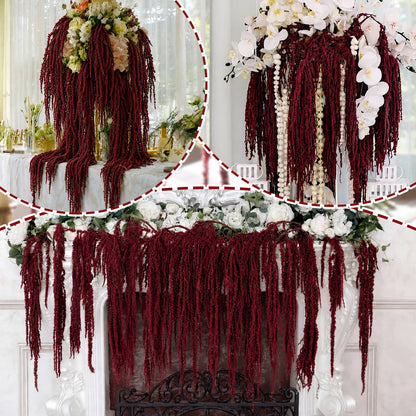 Suncalla 24 Pcs Brownish-red Spring Natural Dried Amaranthus Hanging Flowers Amaranthus Artificial Flowers for Wedding Arch Bouquet Floral Garland Wall Home Decoration (23 Inch)