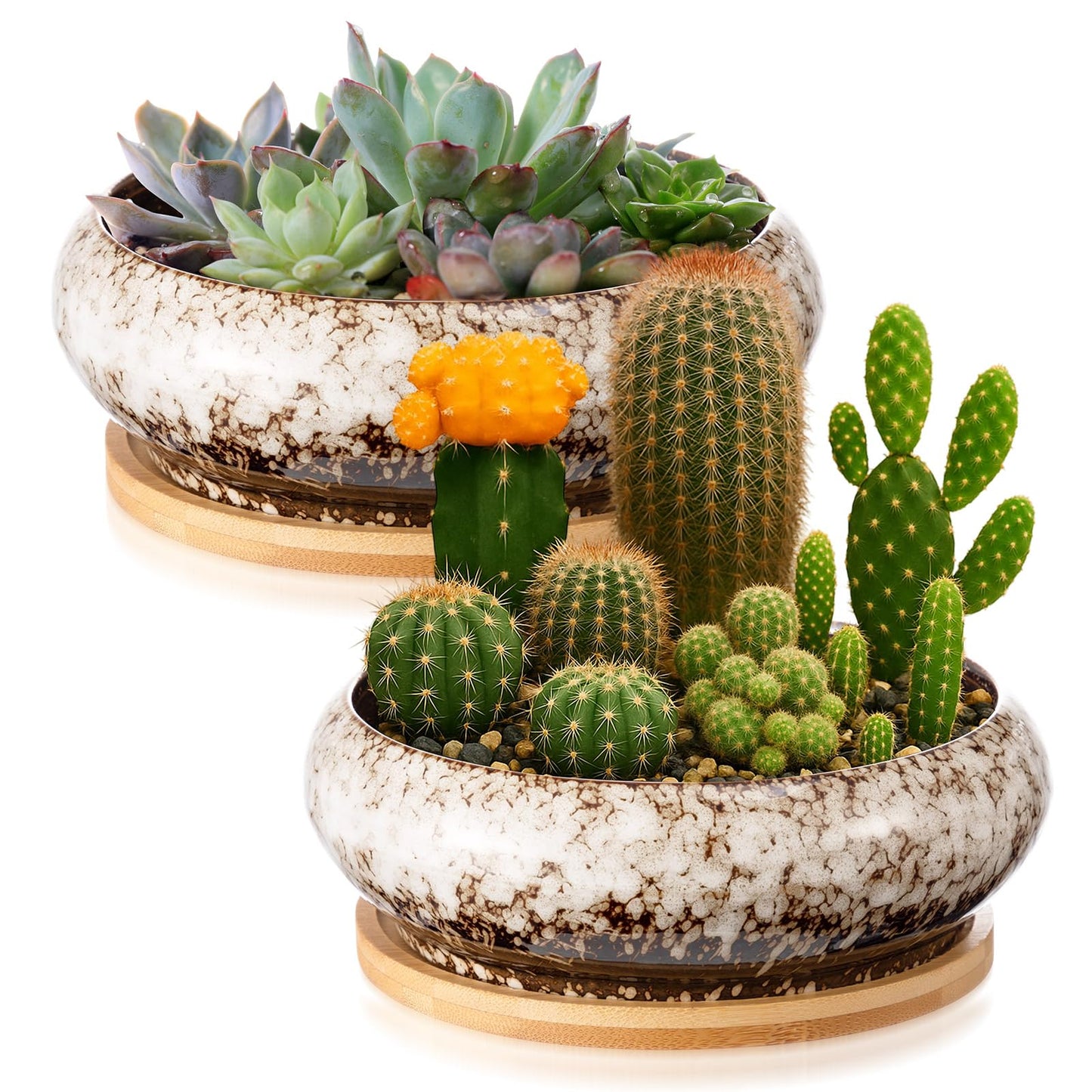 Acellegic 2 Pcs 7.3'' Round Large Shallow Succulent Ceramic Planter Pots with Drainage Hole Drip Glazed Shallow Bonsai Pot with Bamboo Tray for Indoor Outdoor Decor Cactus Flower (White)