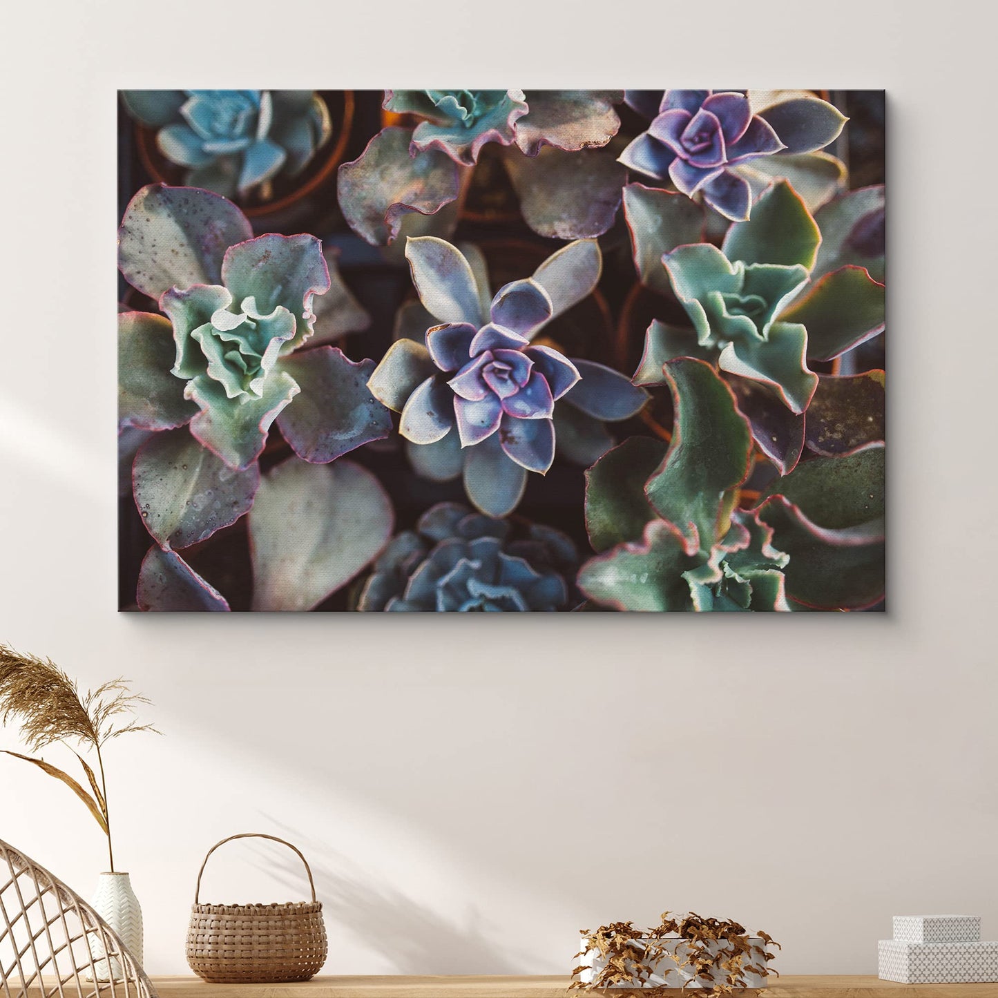 SIGNFORD Canvas Print Wall Art Green & Purple Echeveria Succulent Array Floral Plants Photography Realism Southwest Relax/Calm Multicolor Ultra for Living Room, Bedroom, Office - 32"x48"