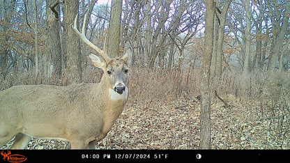 Wildgame Innovations WGI Insite-V 4-Pack Cellular Trail Camera 32 MP, 80ft Detection