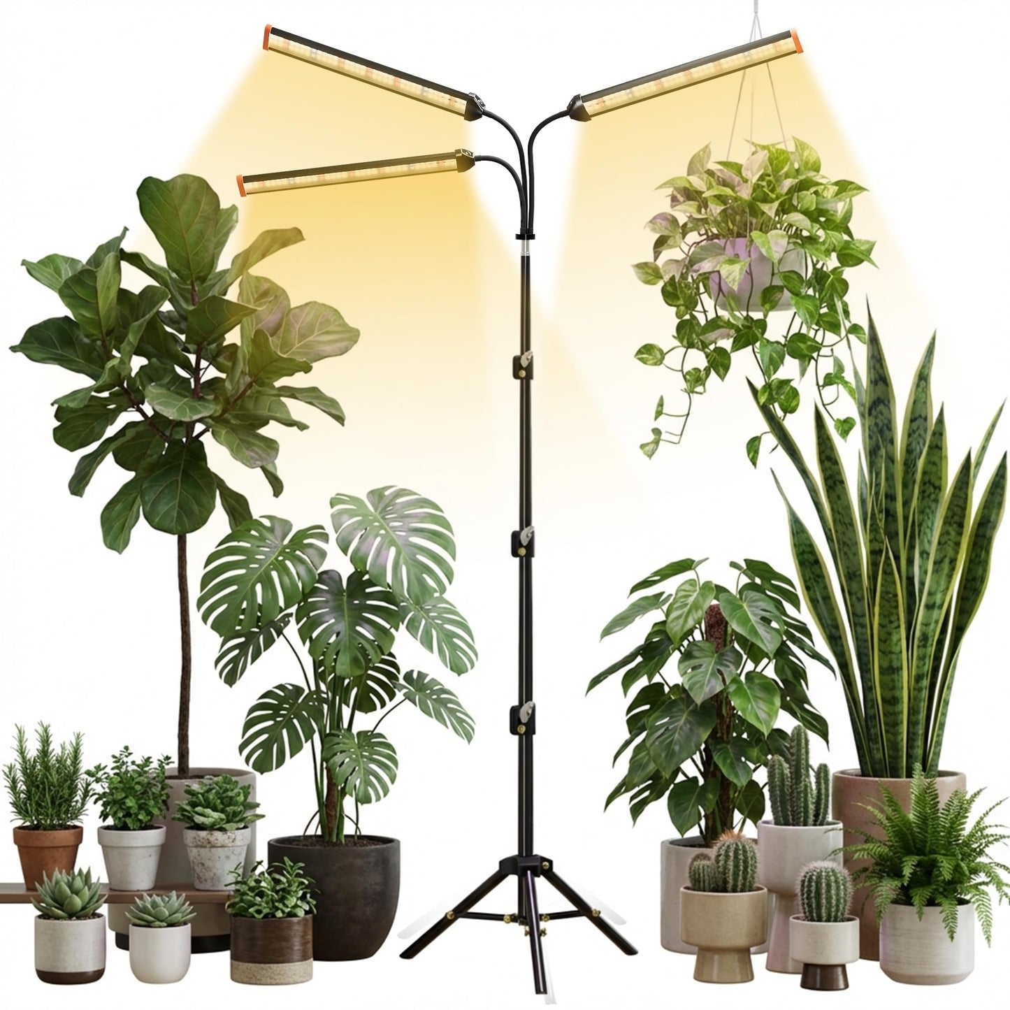 Quehoomii Grow Light with Stand for Indoor Plants,3500K Warm White Plant Light with Red Blue LEDs for Indoor Tall Large Plants Growing,Dimmable & Auto Timer,Height Adjustable 17-61"