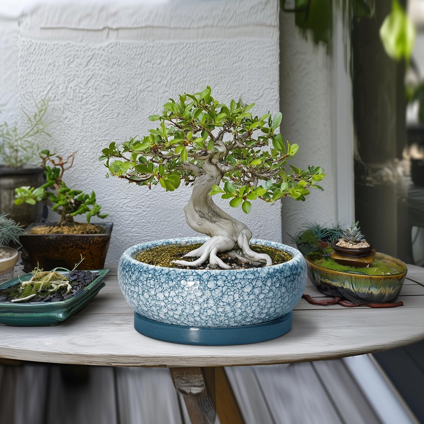 EPFamily Bonsai Pots 10 Inch - Ceramic Succulent Planters with Drainage Hole and Saucer, Succulent Pots for Indoor Outdoor, Shallow Flower Pot, Round Planter, Patio Decor, Housewarming Gifts, Blue
