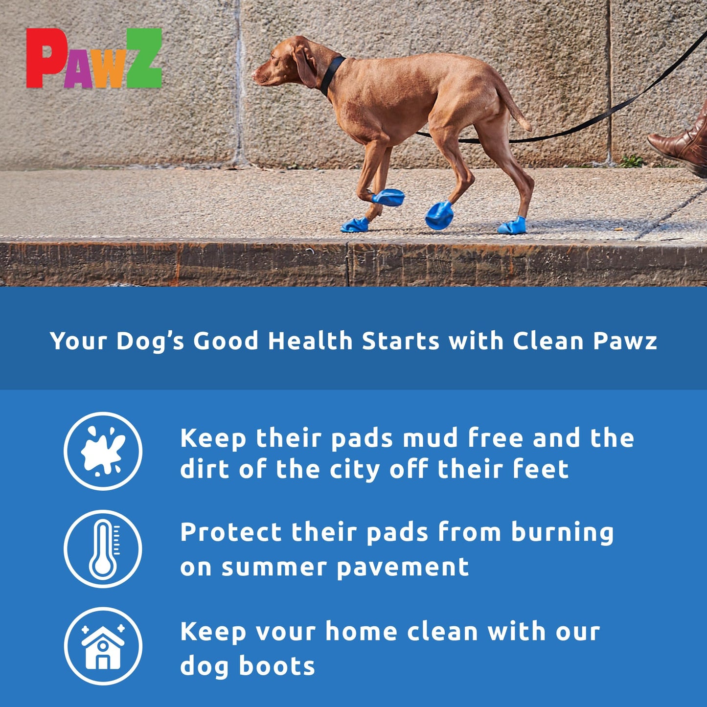 Pawz Dog - Black Dog Boots
