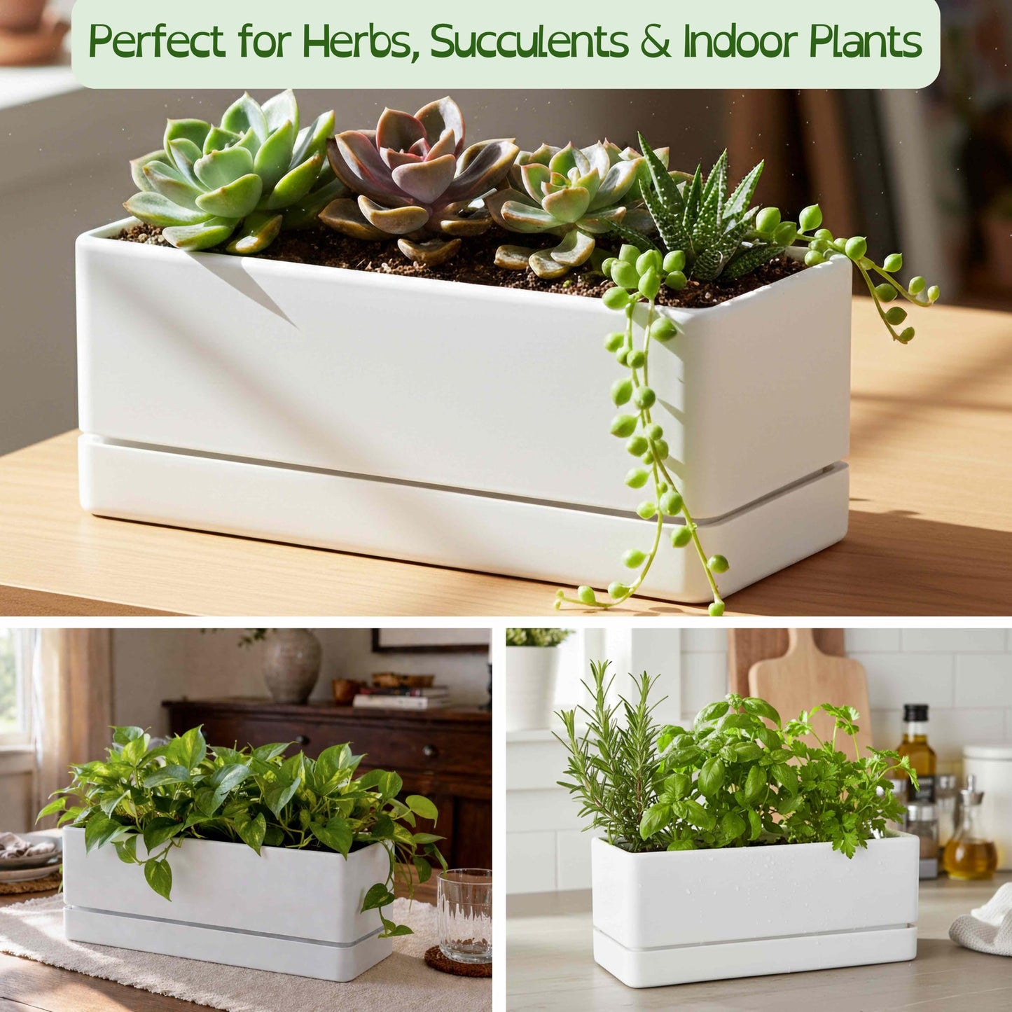 D'vine Dev 12 Inch Window Box Planter, Rectangle Plastic Herb Planter with Drainage Holes and Saucer, Indoor Succulent Cactus Vegetable Pot for Windowsill, Garden Balcony, White, Set of 2, 76-X-A-2