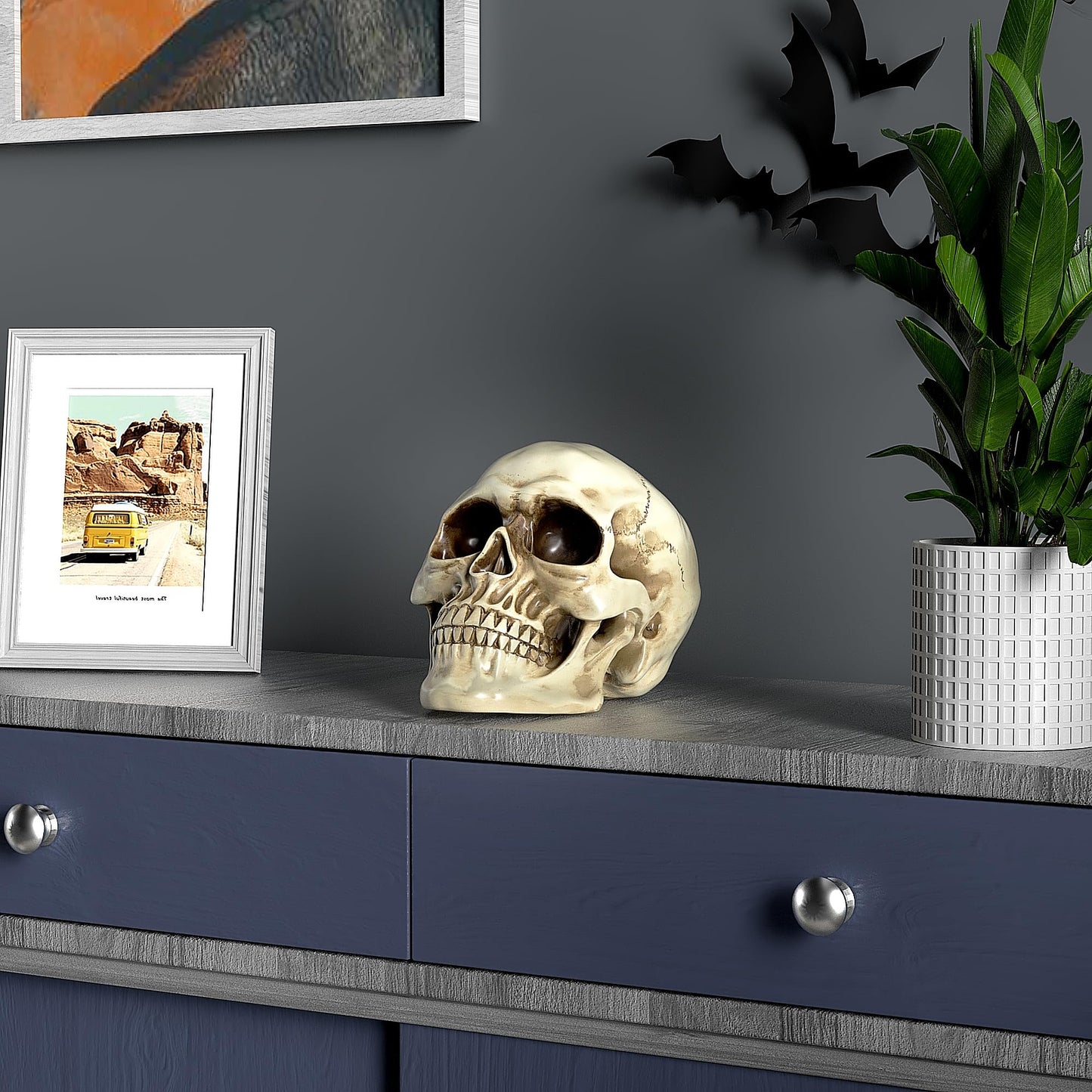 Readaeer Life Size Skeleton Replica Realistic Human Skull Head Bone Model (Normal)