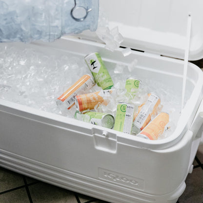 Igloo Polar 120 Qt. Cooler