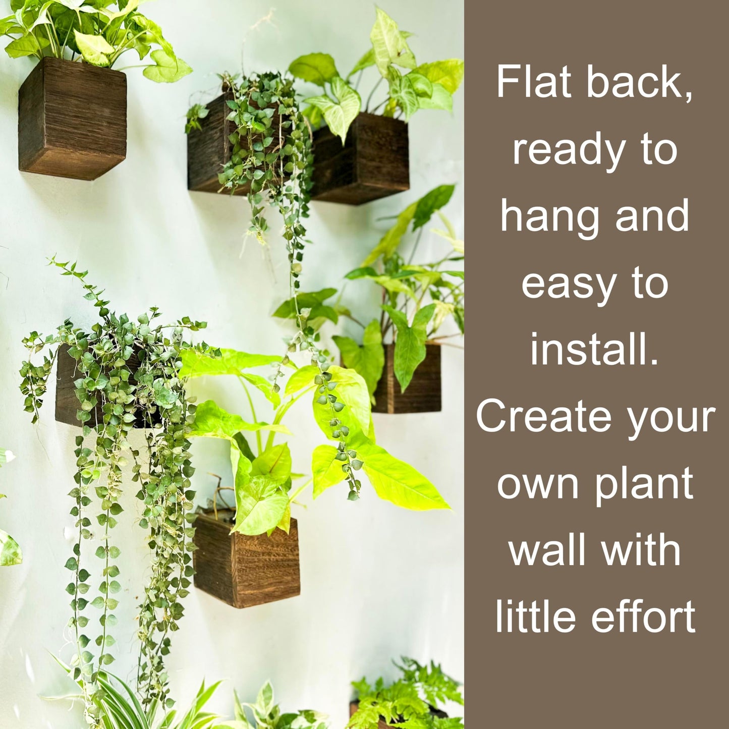 LaLaGreen Wood Planter Box for Plants (4x4 Inch, 2 Pack) Small Square Wall Planters for Indoor Plant, Window Hanging Flower Pot Wooden Boxes for Table Centerpiece Herb Balcony Home Garden Office Decor