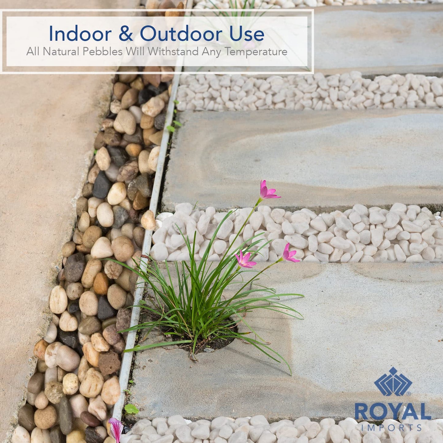 Royal Imports 5LB Decorative Stones River Pebbles Painting Rocks for Fish Aquariums, Plant Gravel, Landscaping, Home Decor Natural - Small Marble
