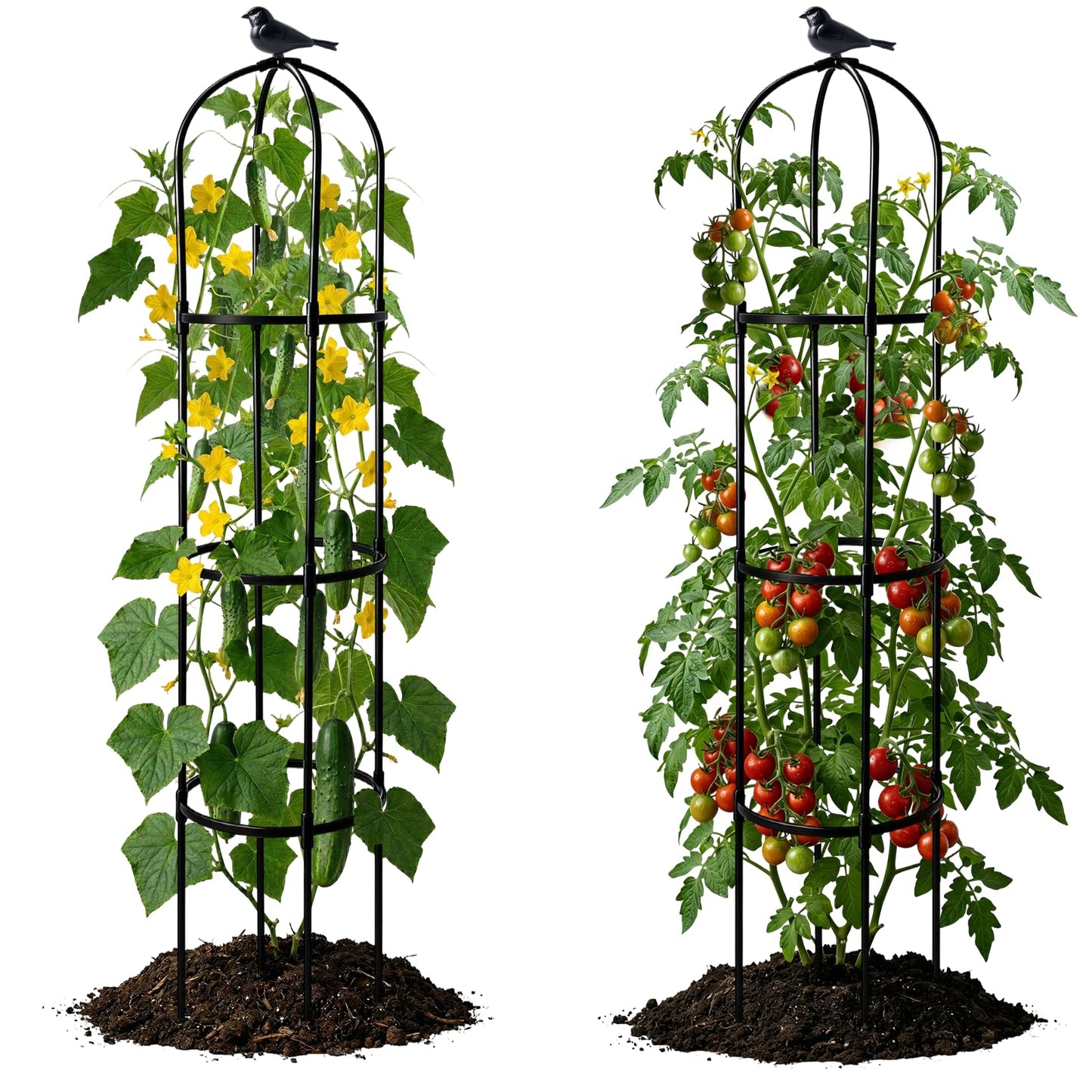 2 Pack Garden Obelisk Trellis for Climbing Plants, 6FT Plant Cages and Supports, Tomato Cage Tall Plant Stakes Indoor & Outdoor, Trellis for Potted Plants, Vegetables, Fruits, Flowers, Pots, Vines