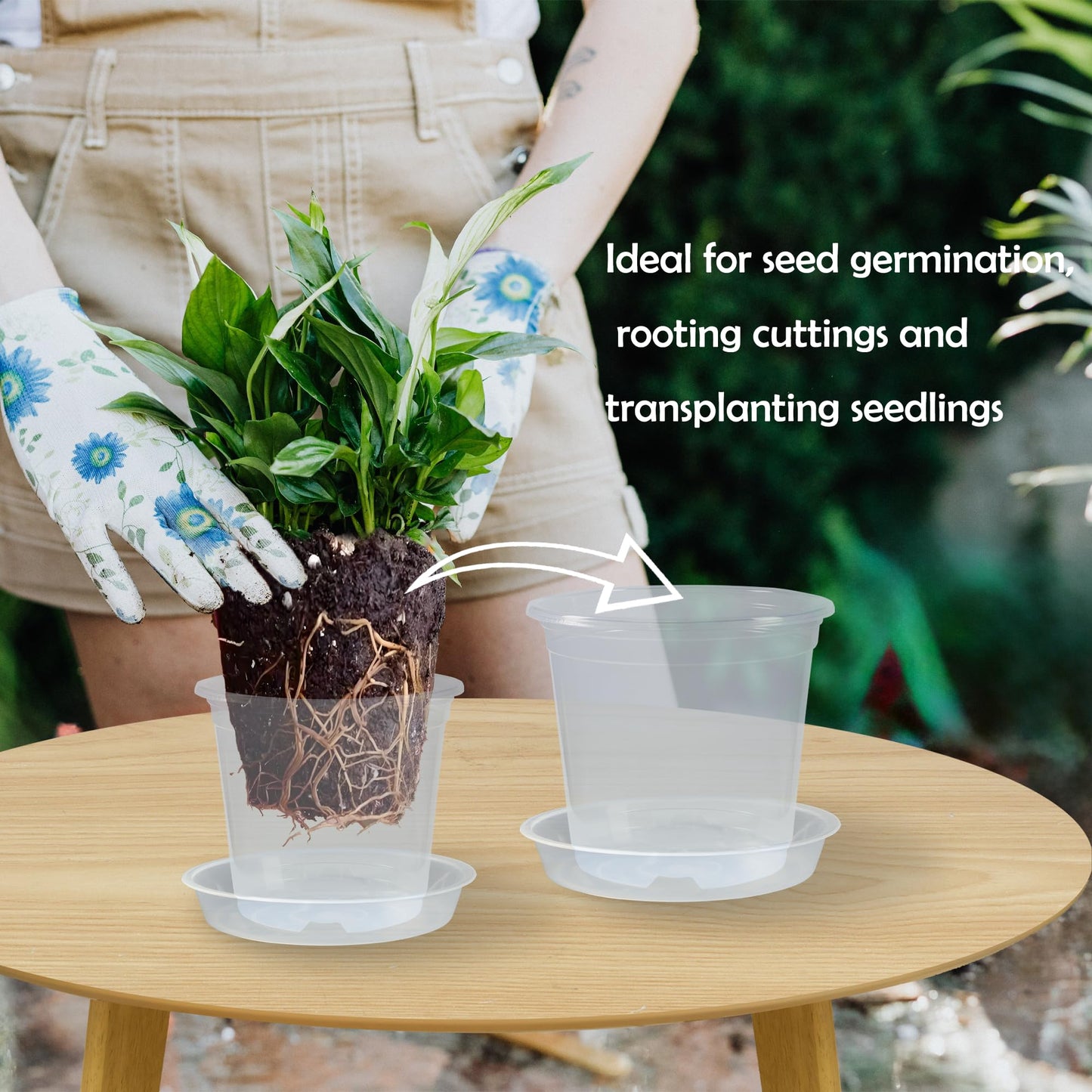TNTIWQ 20 Pack 4 Inch Clear Nursery Pots with Drainage and 20 Pack Plant Saucers, Plant Pots for Plants Transparent Potting Containers for Plants Seeding Starter Pot (Clear, 4 Inch)