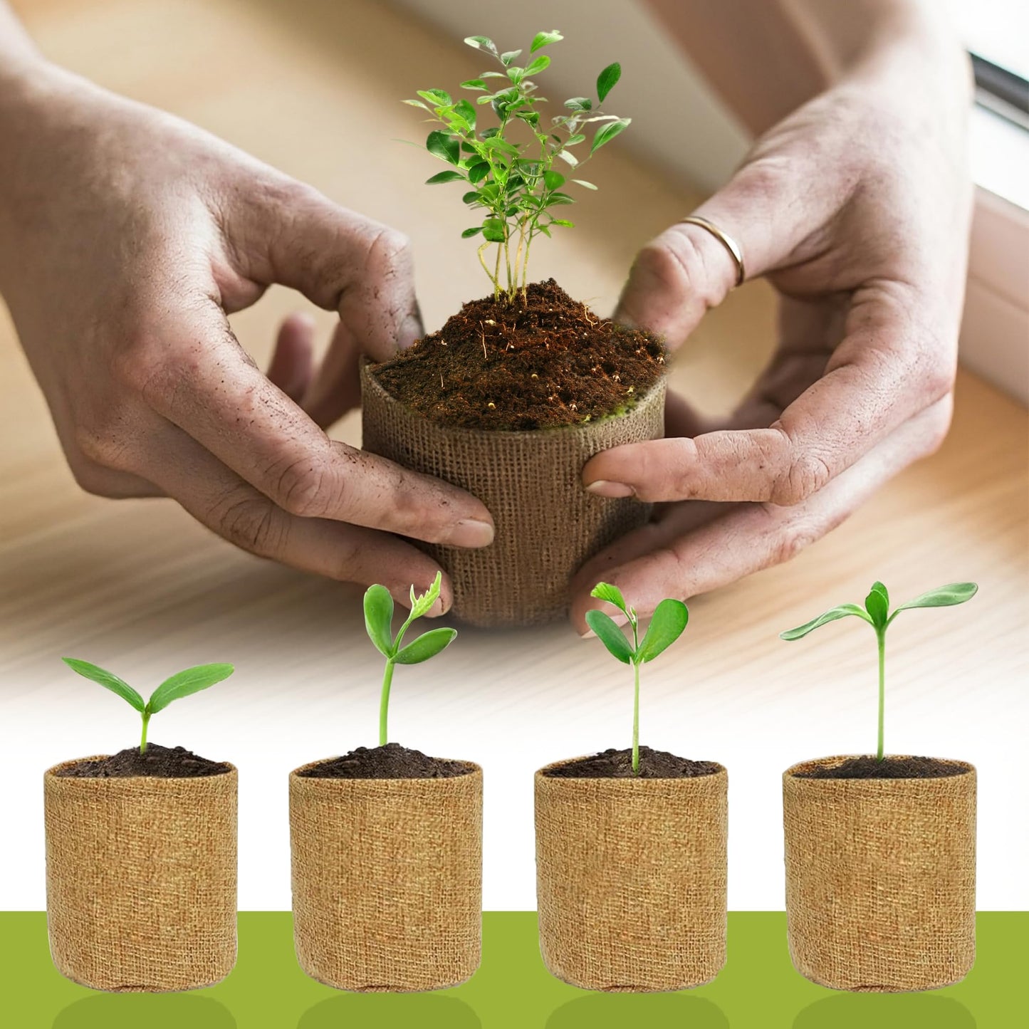 Premium Bonsai Kit,Complete Bonsai Starter Kit with Wooden Gift Box,repotting mat, Burlap Pots & Gardening Tools, DIY Bonsai Plant Set for Adults & Beginners (Seeds Excluded)Birthday Thanksgiving gift