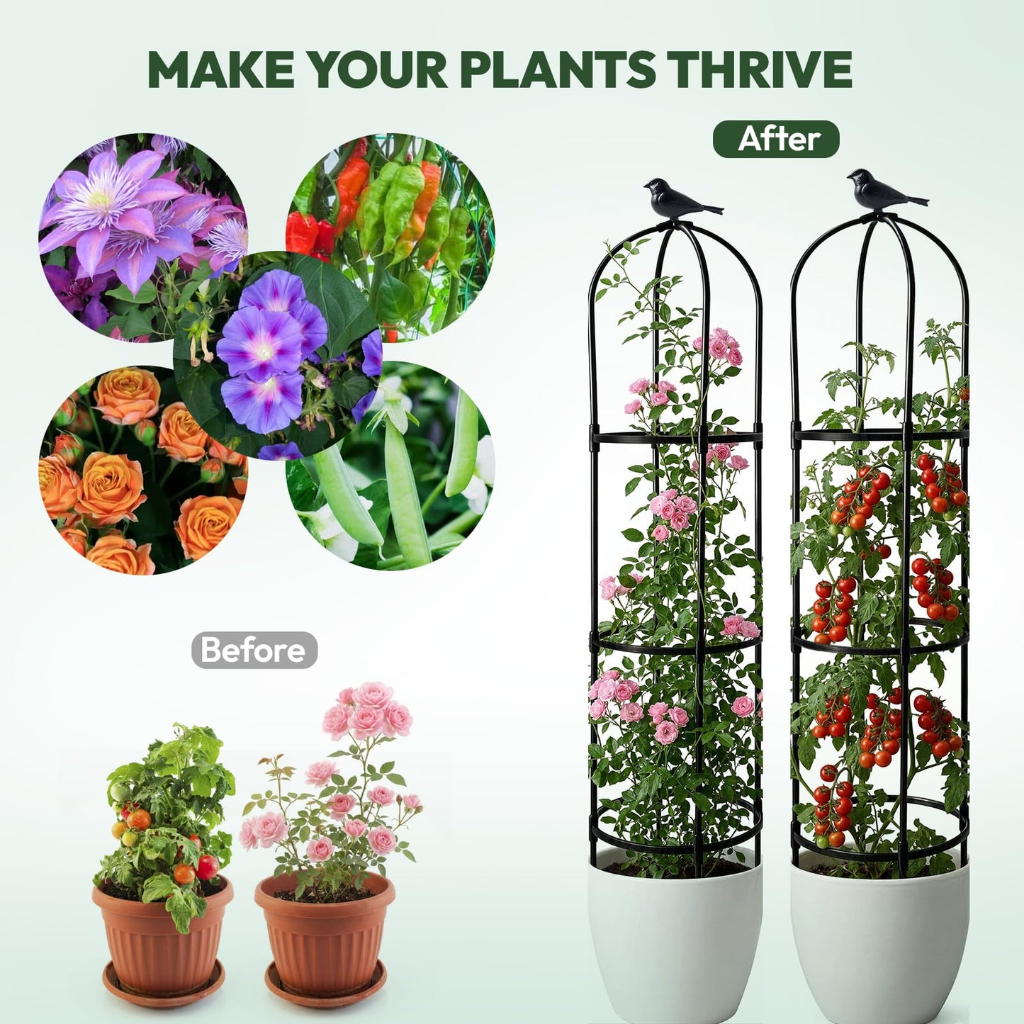 2 Pack Garden Obelisk Trellis for Climbing Plants, 6FT Plant Cages and Supports, Tomato Cage Tall Plant Stakes Indoor & Outdoor, Trellis for Potted Plants, Vegetables, Fruits, Flowers, Pots, Vines