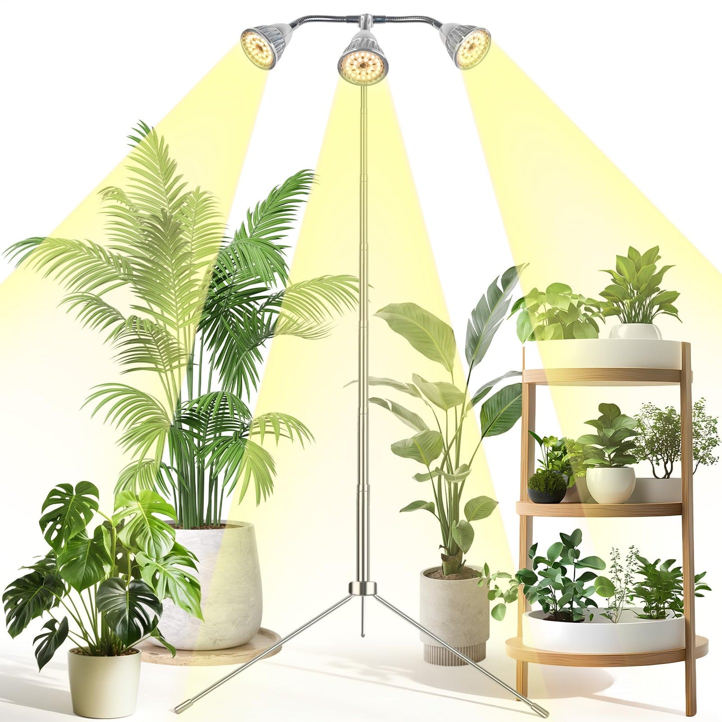Full Spectrum Grow Lights for Indoor Plants, 3 Heads Aluminum Alloy Growing Lamps Covers More Plants, 15-62In Height Adjustable Plant Light with Detachable Tripod Stand, Auto On/Off Timer for Offices