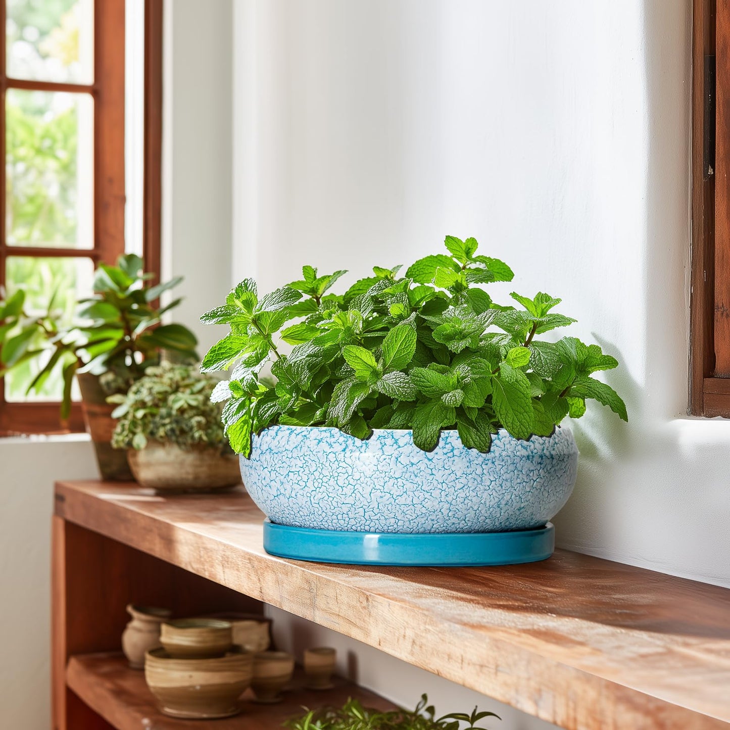 EPFamily Bonsai Pots 10 Inch - Shallow Ceramic Planters for Indoor Outdoor, Succulent Pots with Drainage Hole and Saucer, Round Planter Bowl, Succulent Planter, Garden Decor, Housewarming Gifts, Blue