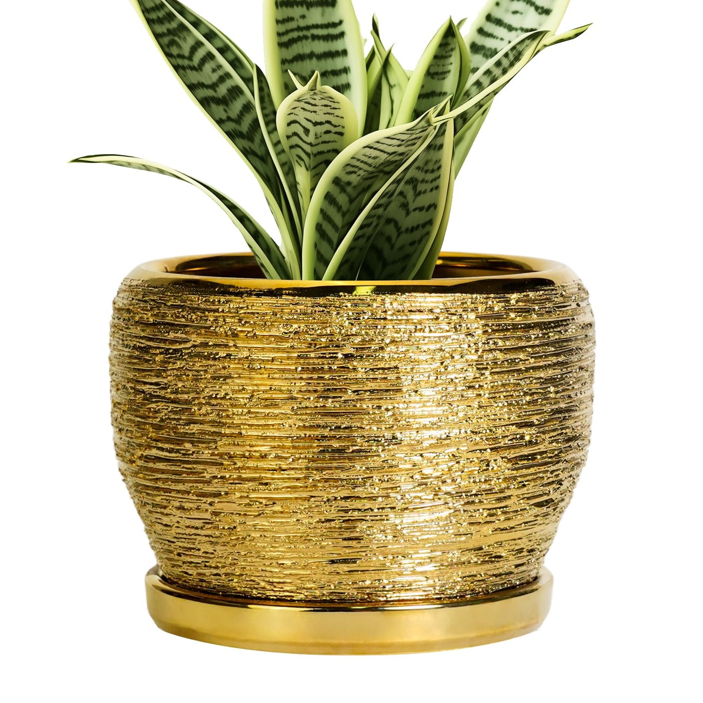 SQOWL Ceramic Planter - 6 Inch Plant Pot Indoor Outdoor, Modern Round Planter with Drainage Hole and Plant Saucer, Decorative Small Flower Pot, Home Decor, Birthday Gifts, Gold