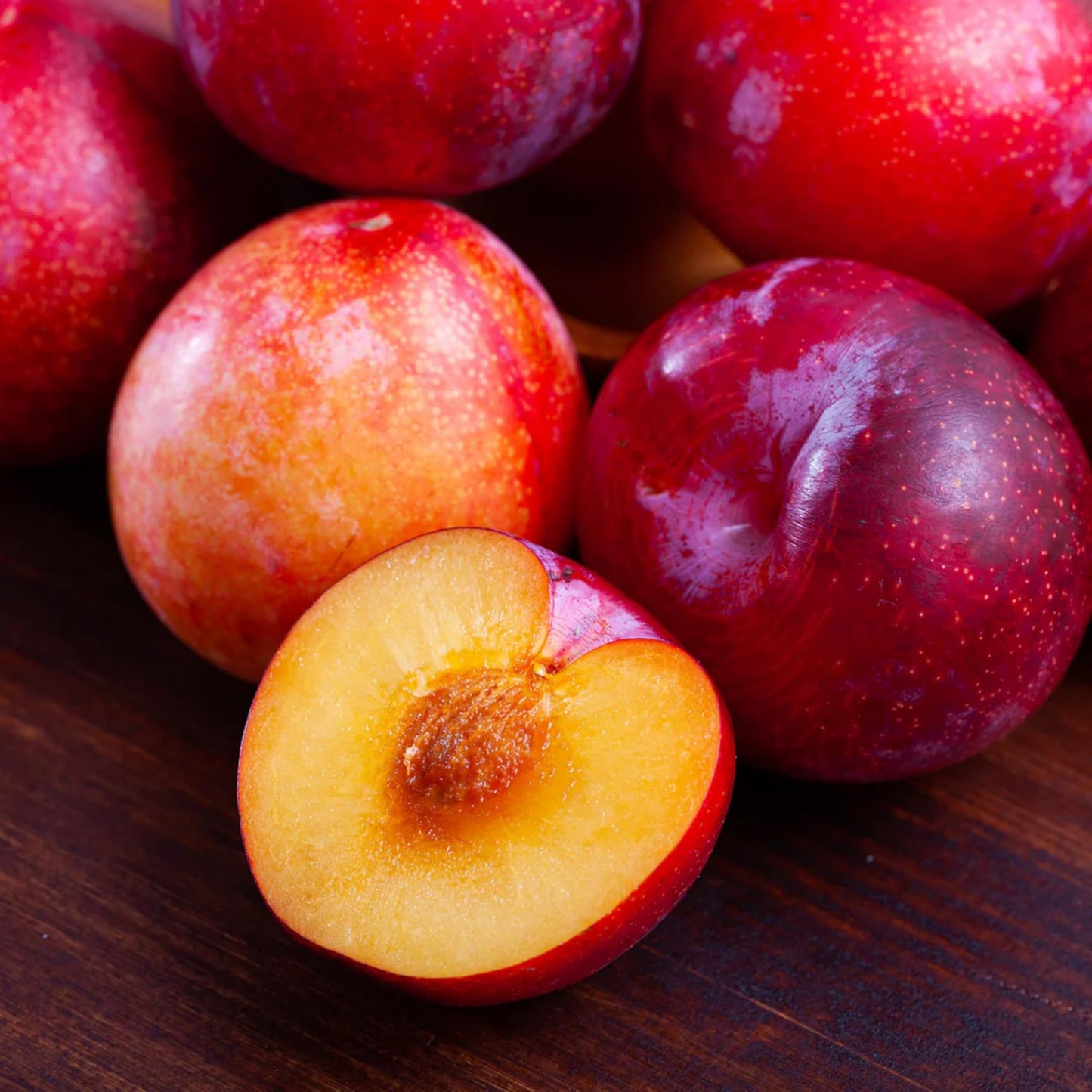 Plum Fruit Tree Seeds for Planting - 5 Seeds Plum Tree Seeds Non GMO & Heirloom Seeds, Popular Outdoor Tree or Bonsai Great Home Garden Gift