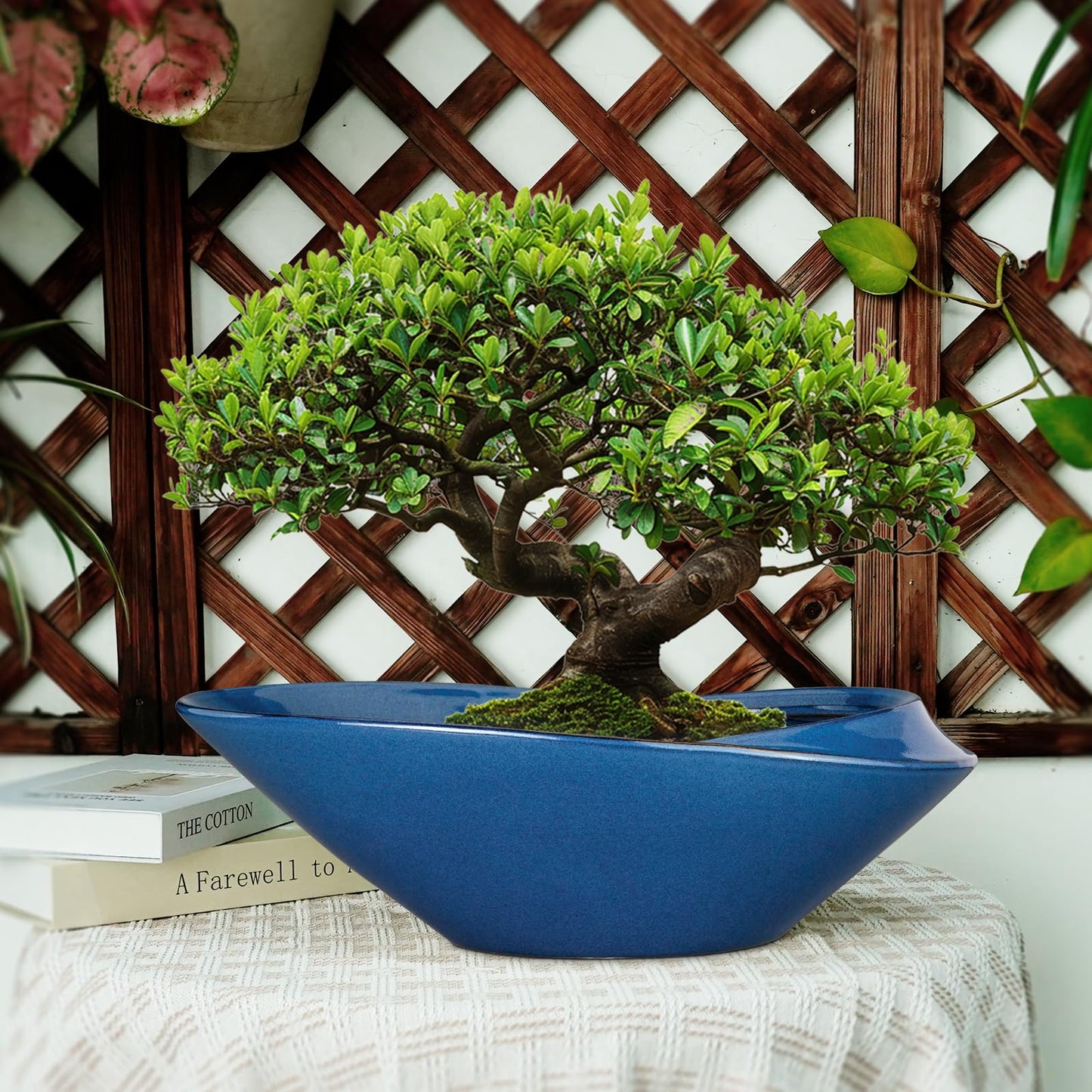 EPFamily Bonsai Pot - 18 Inch Ceramic Planter for Indoor Outdoor Plants Bonsai Tree Pot Modern Large Succulent Planter Decorative Plant Pot with Drainage Hole Blue