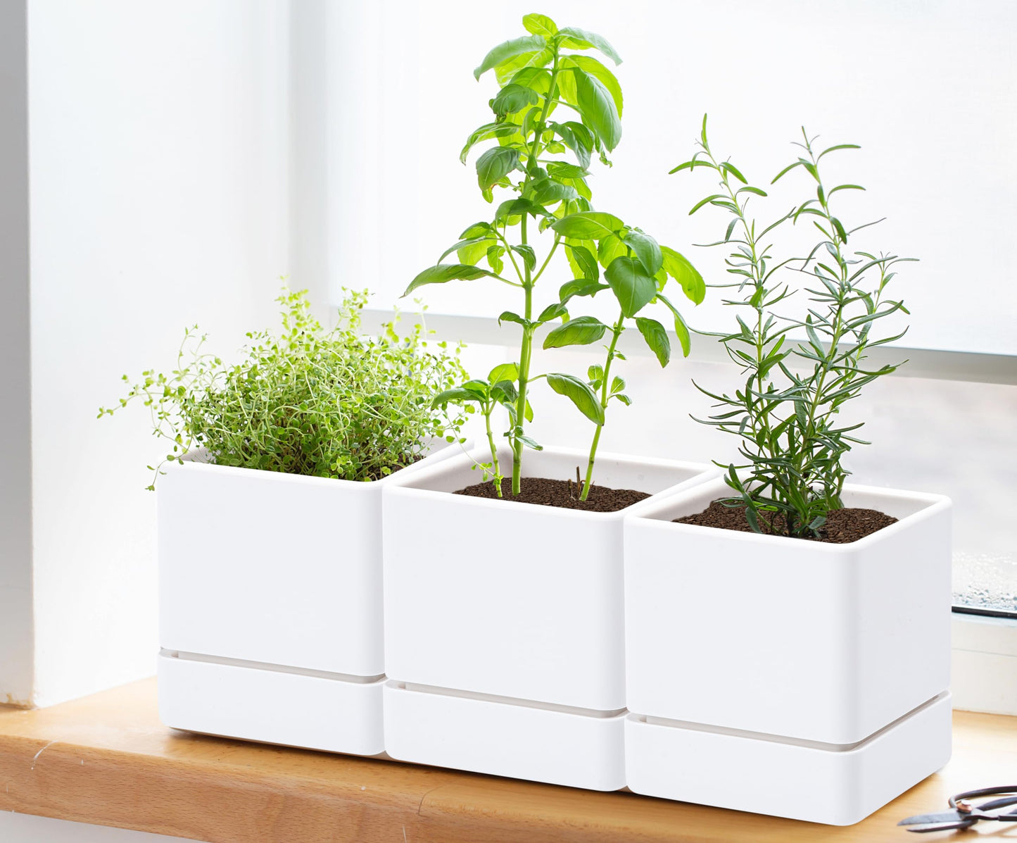 D'vine Dev 4 Inch Herb Planter Pot, Plastic Planter with Drainage Holes and Saucer, Modern Decorative Gardening Pot for Indoor Plants, Flowers, Herbs, Succulents, White, Set of 6, 76-Y-A6-1