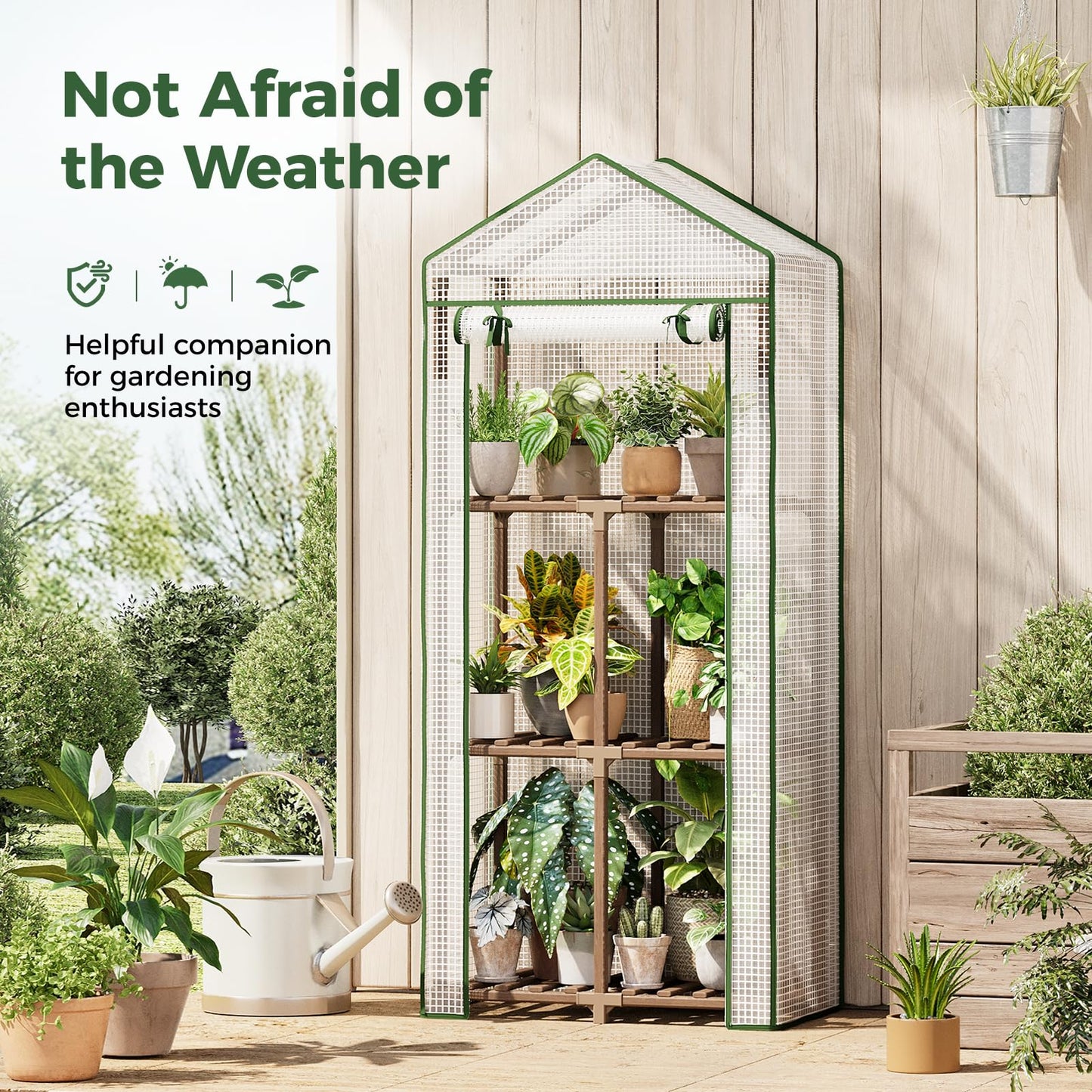 Bamworld 23 x 17 x 54-Inch Mini Greenhouses for Outdoors Portable Green House with PE Cover Sturdy Eucalyptus Wood Frame Small Greenhouse for Winter Plant Frost Protection Plant Garden Hot House