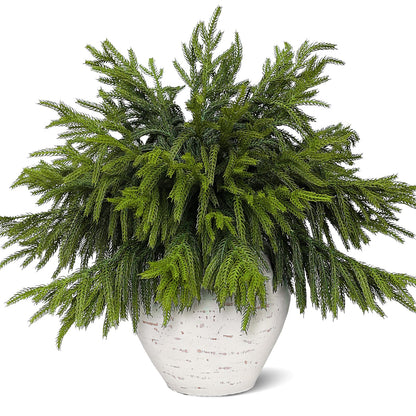 Juxdp 20 Pcs Soft Textured Norfolk Pine Branches, Artificial Christmas Green Plants Branch Faux Greenery Stem Fake Pine Picks for Vase DIY Crafts Garland Wreath Xmas Indoor Outdoor Decor(18 Inches)
