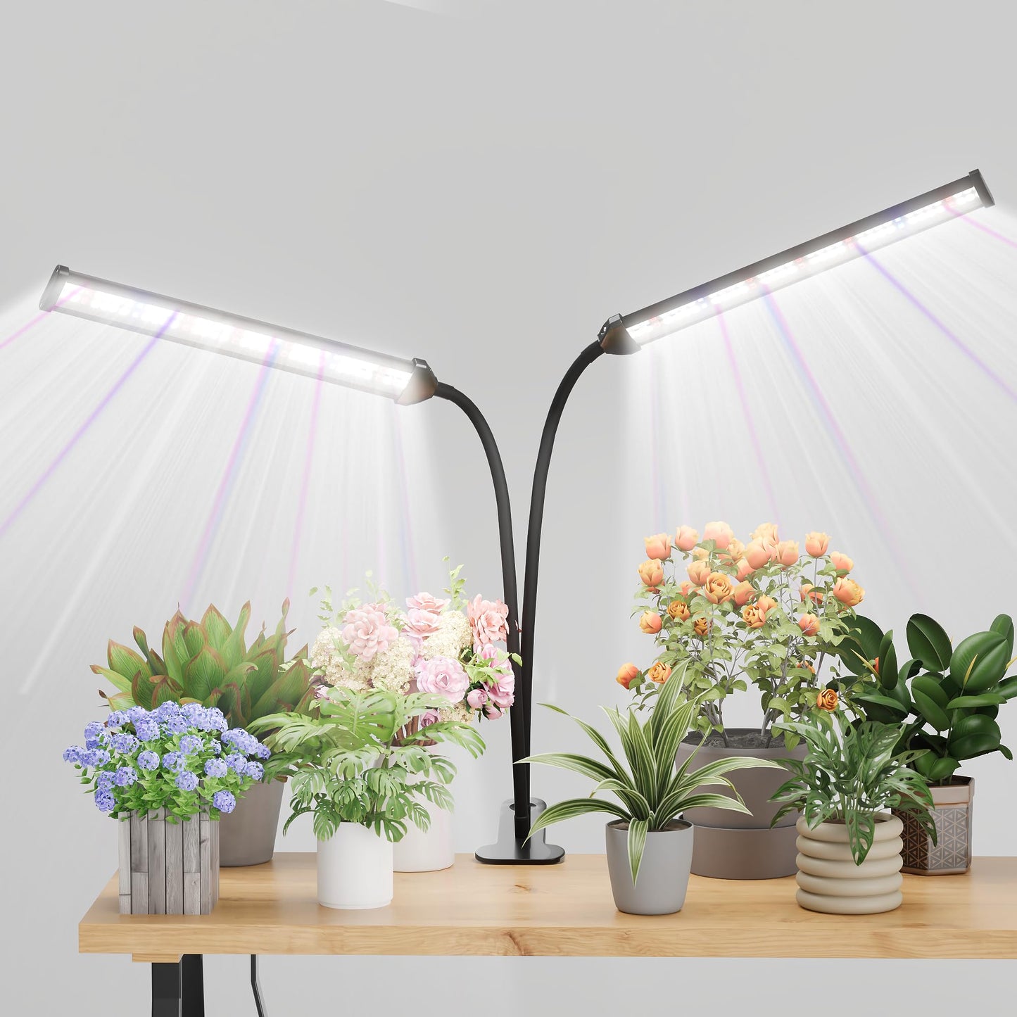 GooingTop Grow Light LED Gooseneck Lamp,Dual-Head White Full Spectrum 148 LED Plant Lamp with Red Blue Light Clip-on Desk for Indoor Plants Growing,Diming & Auto Timer,Super Bright