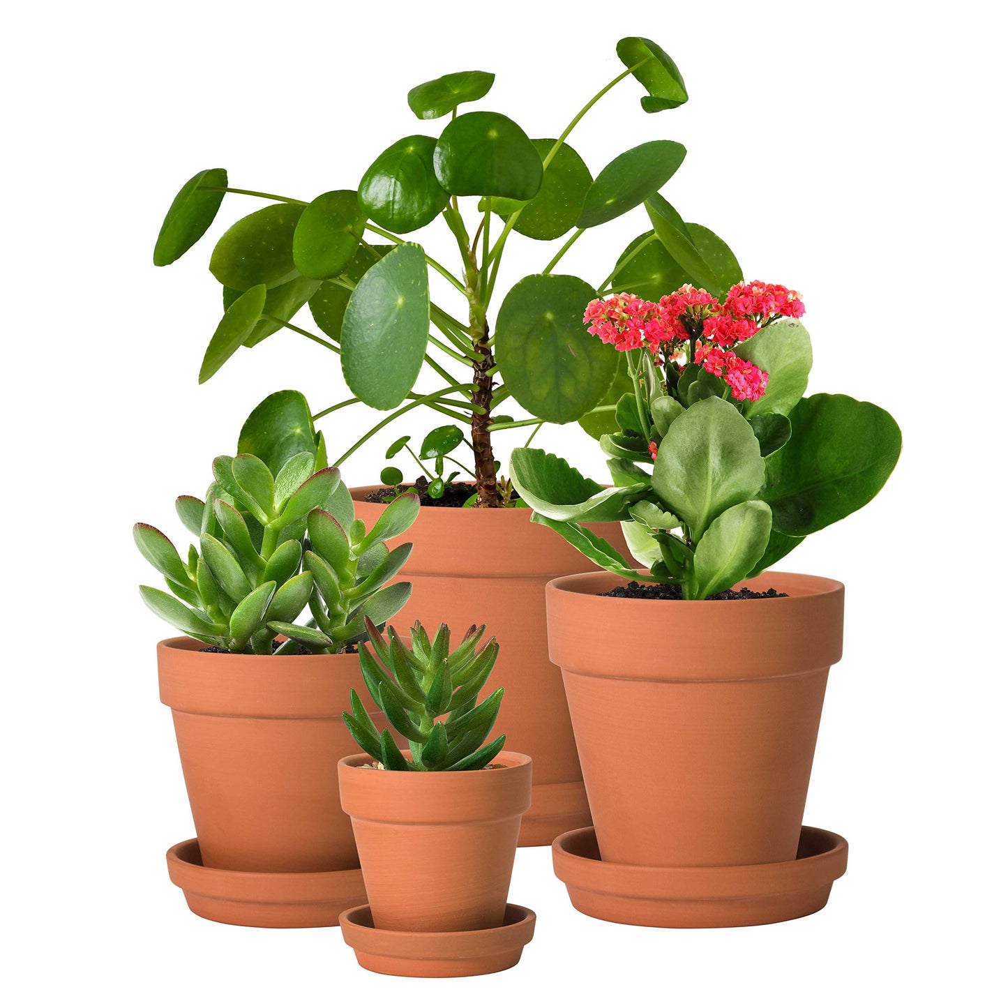 D'vine Dev Set of 4 Small Clay Planters, 3 Inch 4.5 Inch 5 Inch 6 Inch Terracotta Plant Pots with Drainage Hole and Saucers for Indoor Plants, 588-57-1