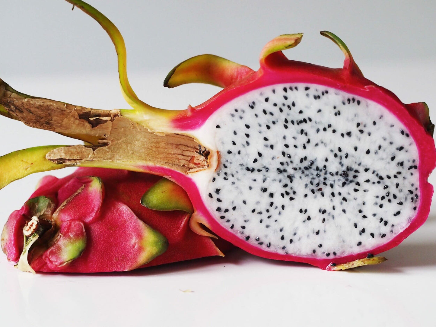 Dragon Fruit Plant Live Pitaya Pitahaya Vietnamese Outdoors 1 Plant Rooted