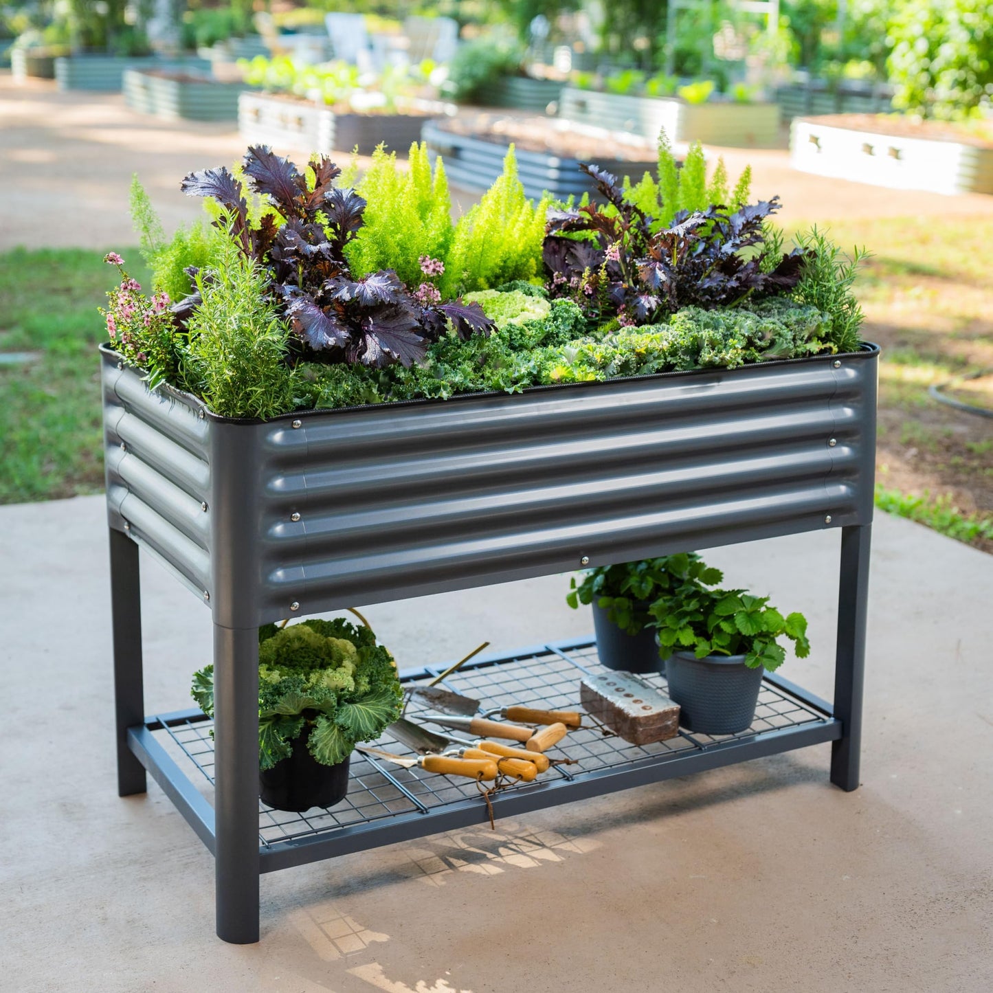 Elevated Raised Garden Bed-V Series, 2' x 4' Garden Beds with Legs & Storage Rack for Patio Porch, 700 Lbs Weight Capacity, Outdoor Planter Boxes for Gardening Herbs Vegetables Flowers, Pearl White
