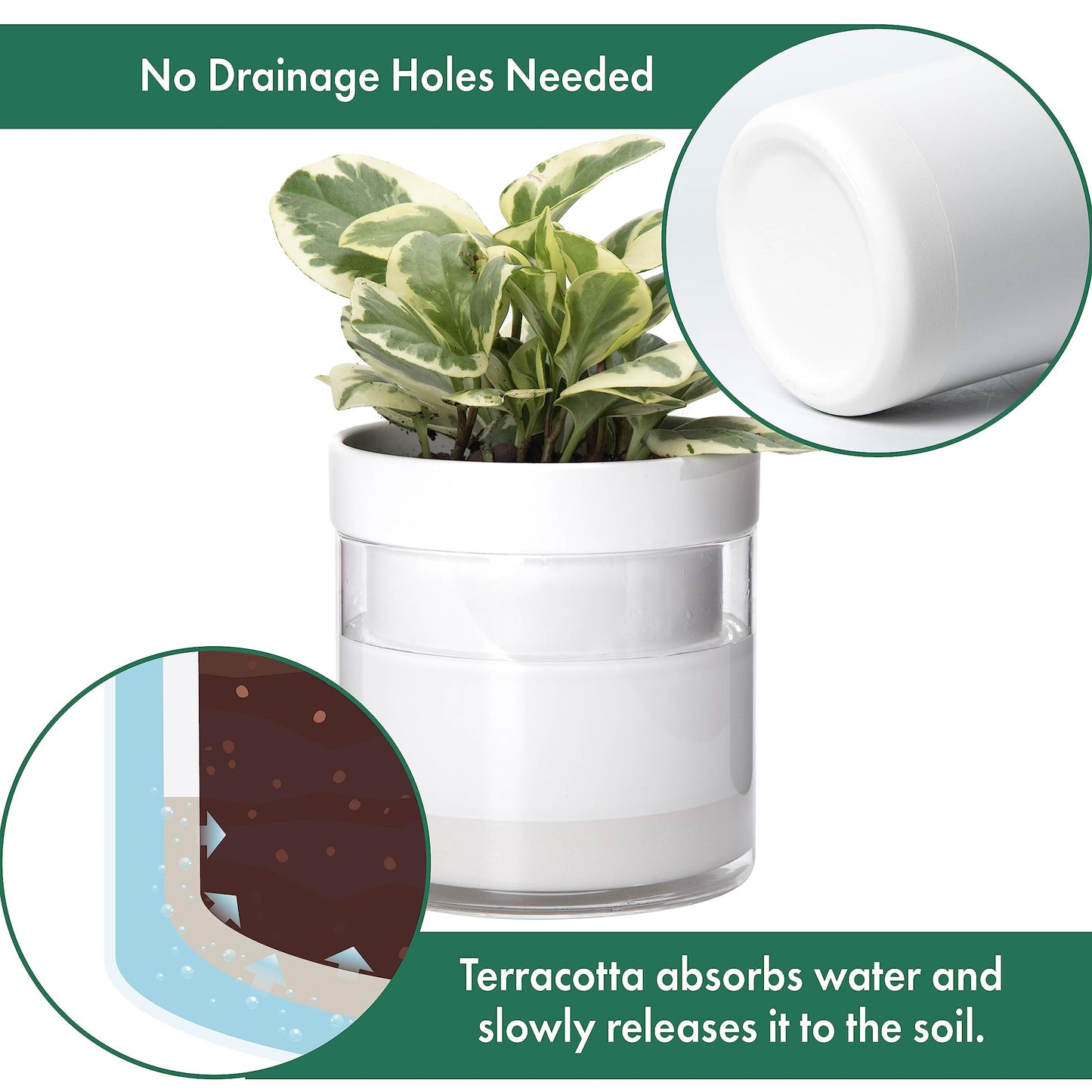 Phoenix Vine 6 Inch 4 Inch Self Watering Planter, White Terracotta Clay Pots with Glass Reservoir for Indoor Plants, Herbs, Flowers, 52-B-G-46
