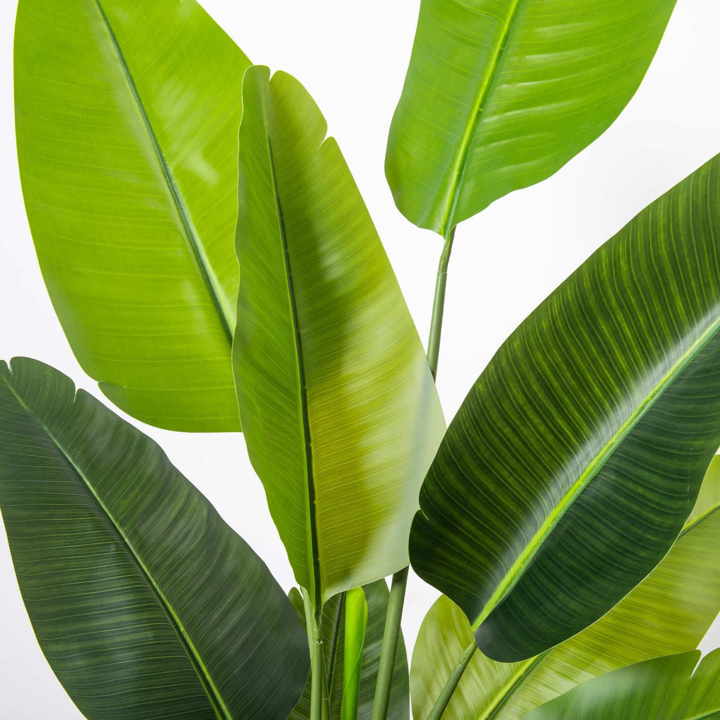 HAIHONG Bird of Paradise Artificial Plant 6FT, Faux Tropical Palm Tree with White Tall Planter, Large Fake Plants in Pot for Home Office Living Room Decor Indoor