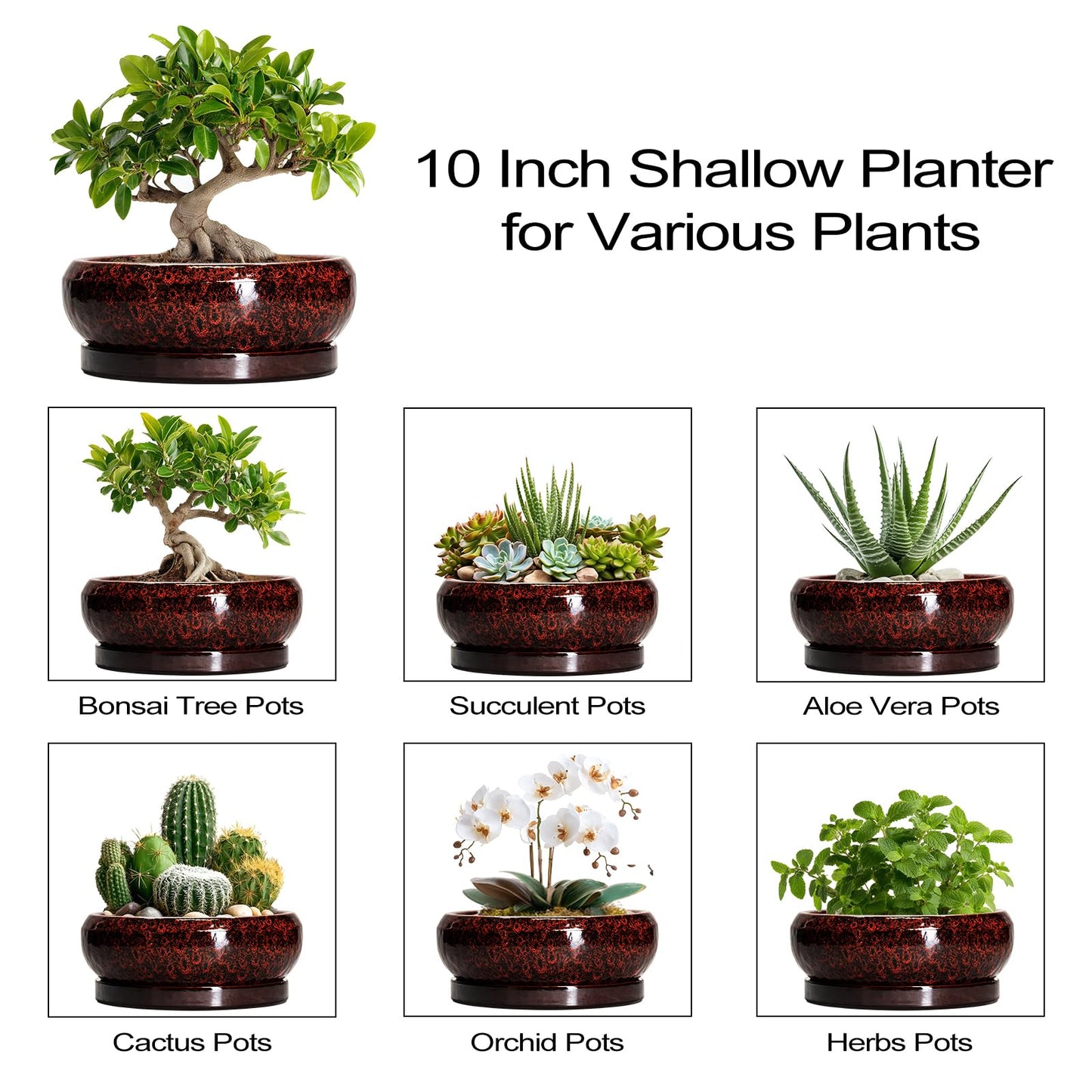 EPFamily Bonsai Tree Pots - 10 Inch Ceramic Succulent Planters for Indoor Outdoor, Bonsai Pots with Drainage Hole and Saucer, Shallow Round Planter, Planter Bowl, Patio Decor, Gifts for Women, Red