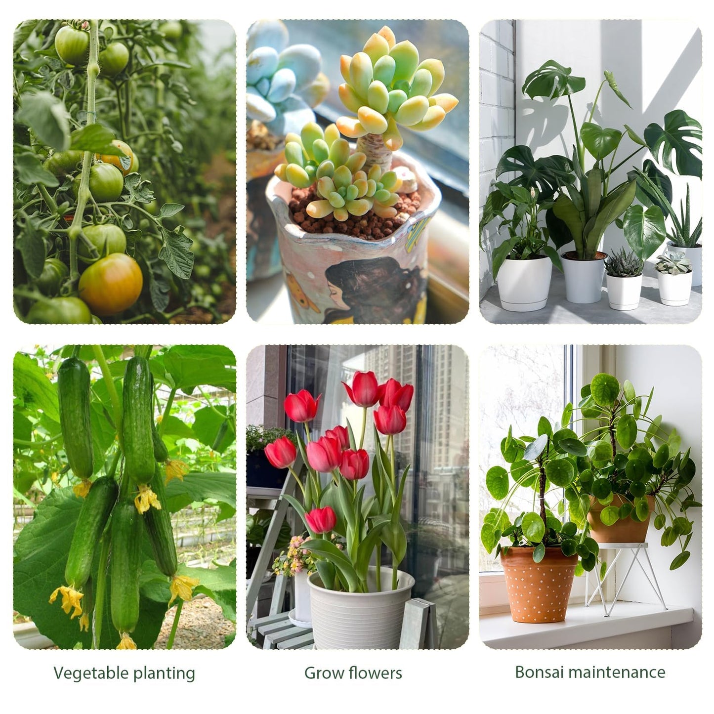 Upgrade Stackable Monstera Plant Support,2026 New Durable Garden Plant Support Stakes for Indoor Outdoor Potted Plants,Garden Accessories Plant Sticks for Vine Training Stem Stabilization (10, Green)