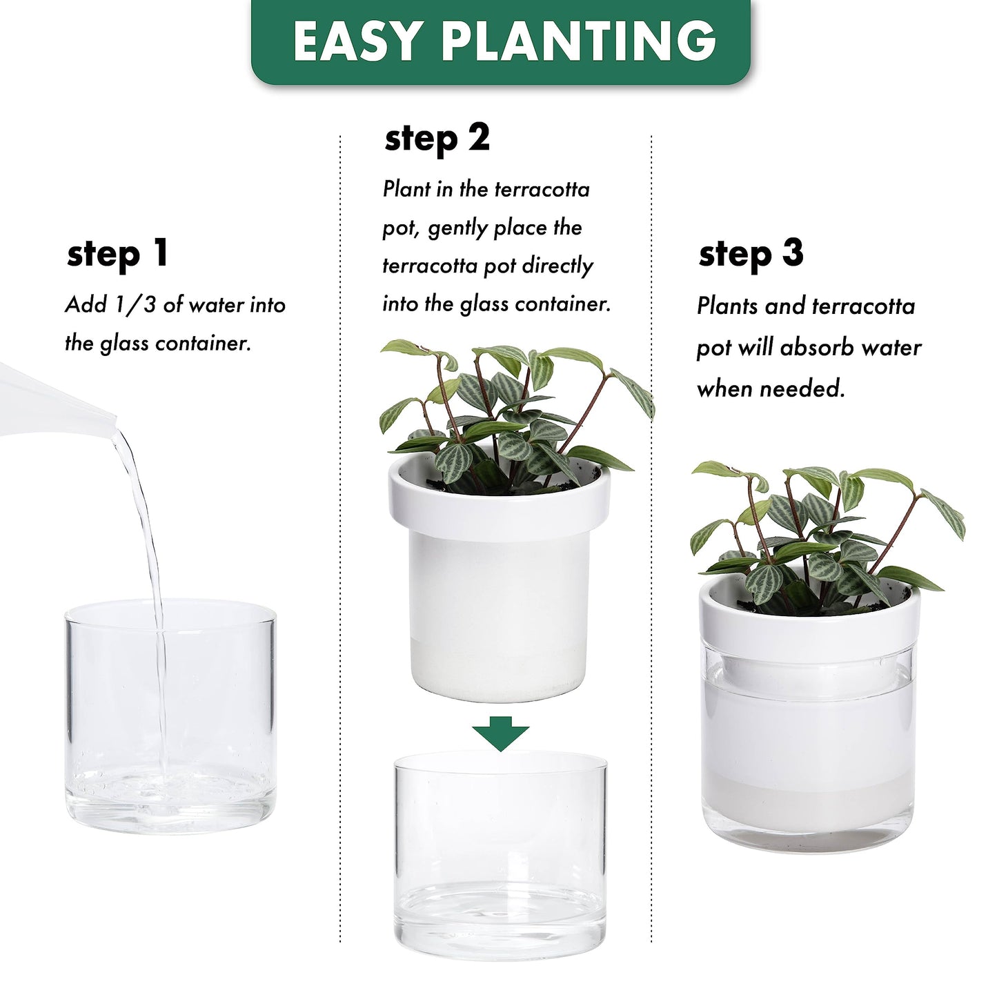 Phoenix Vine 6 Inch 4 Inch Self Watering Planter, White Terracotta Clay Pots with Glass Reservoir for Indoor Plants, Herbs, Flowers, 52-B-G-46
